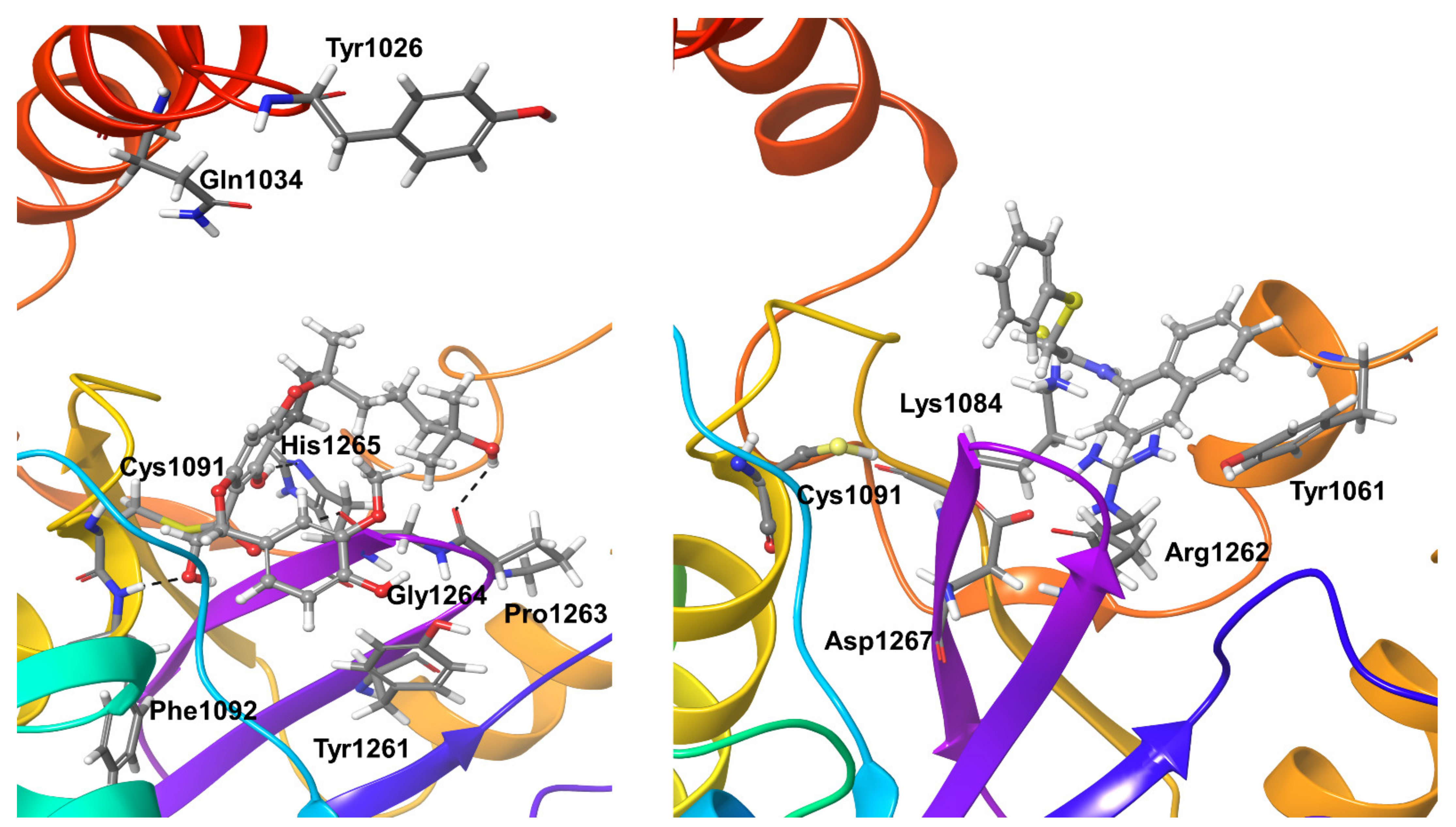 Biomolecules 11 00802 g009
