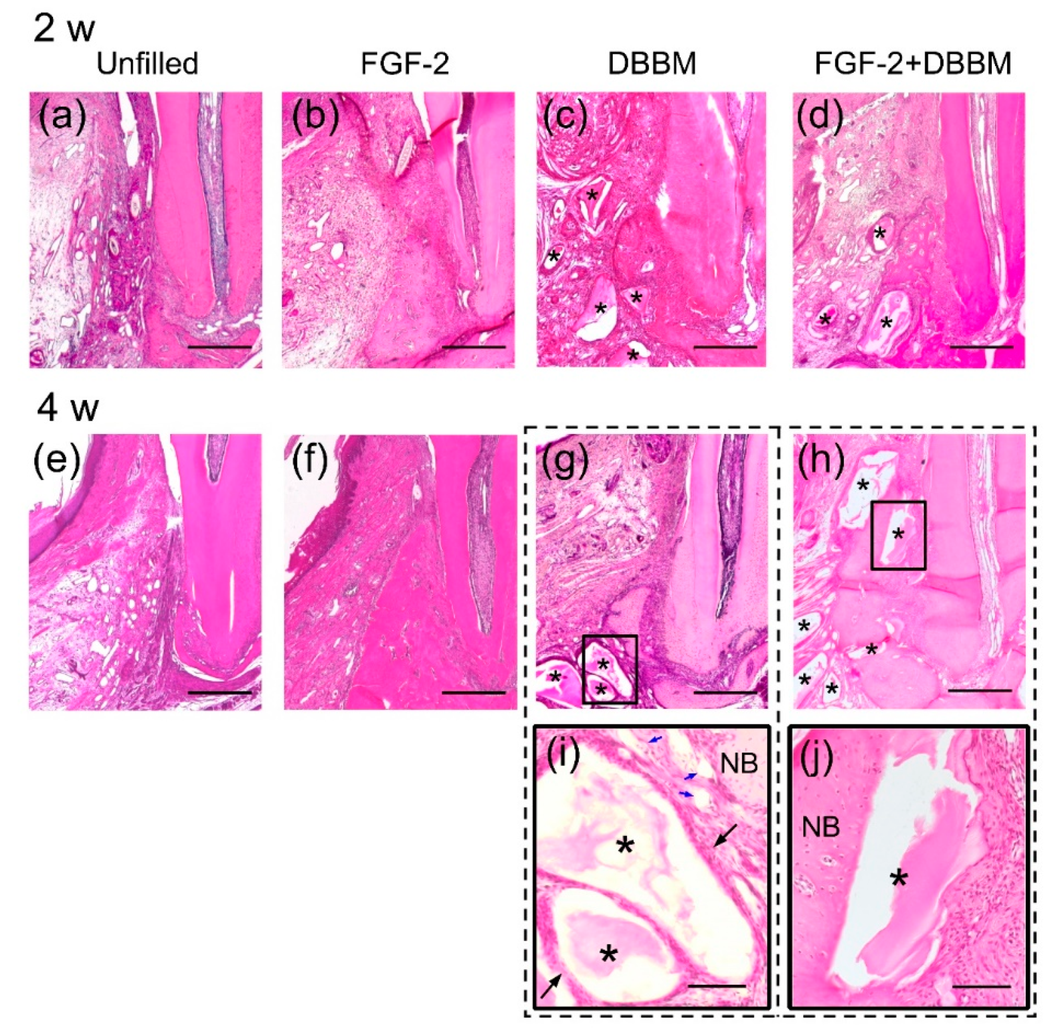 Biomolecules 11 00805 g002 Biomolecules 11 00805 g002
