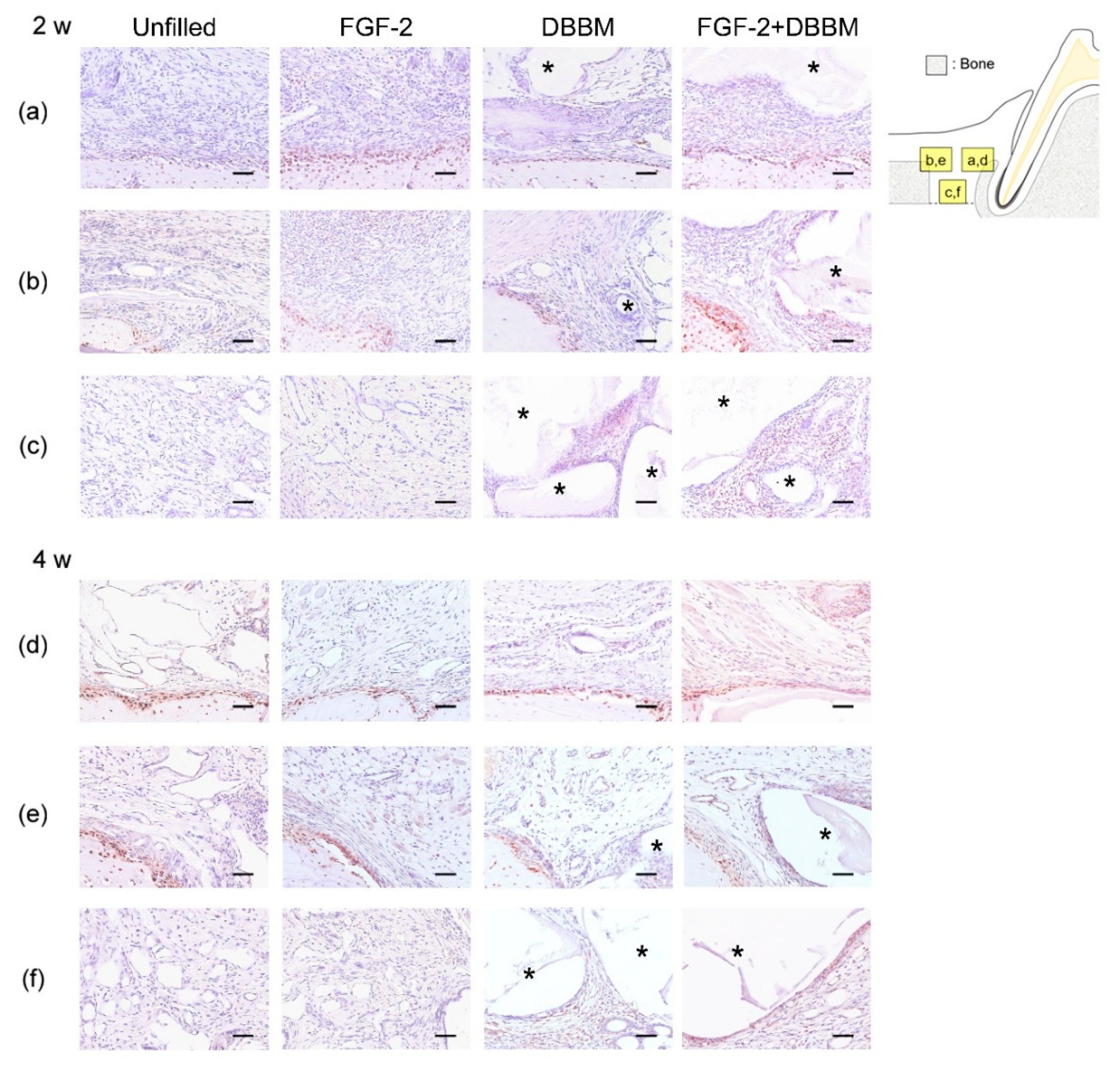 Biomolecules 11 00805 g004 Biomolecules 11 00805 g004