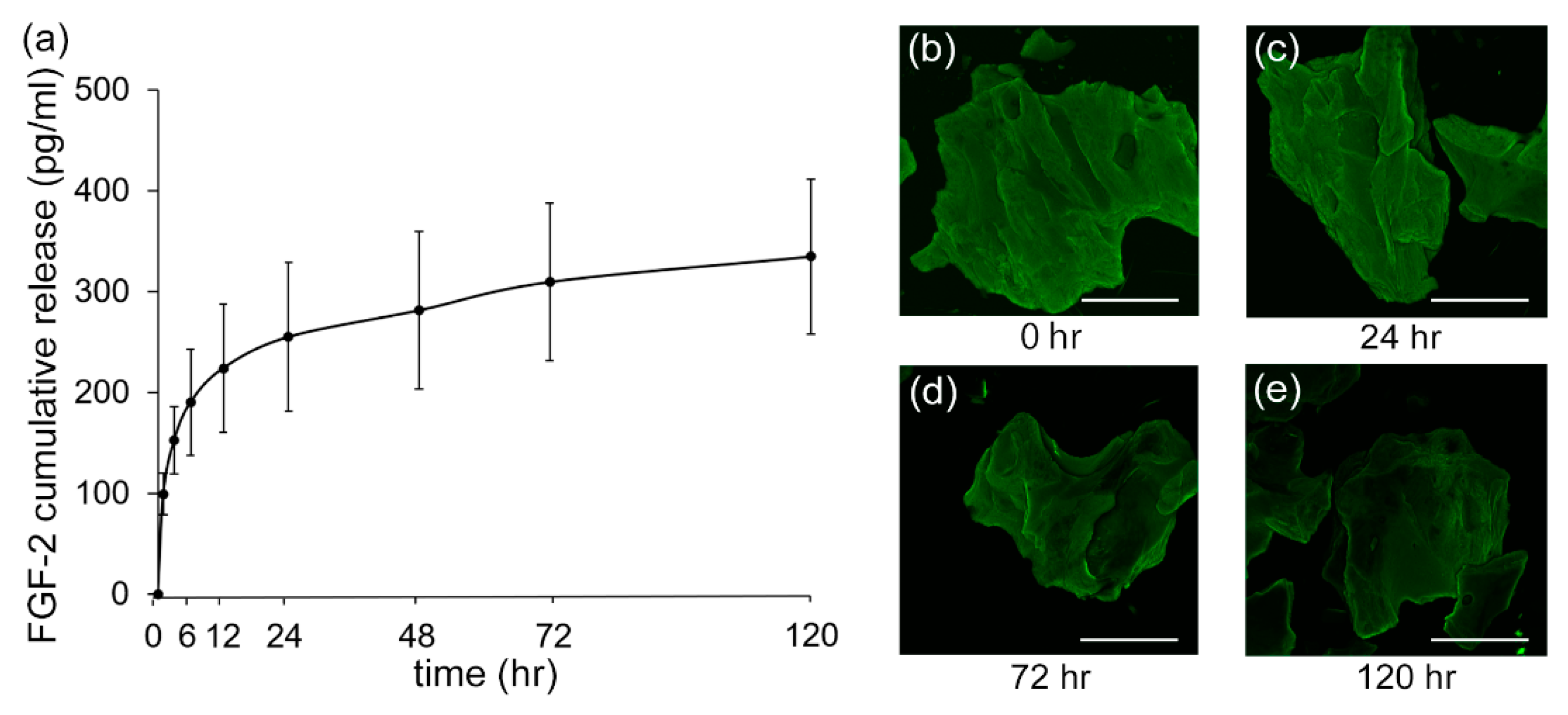 Biomolecules 11 00805 g005 Biomolecules 11 00805 g005