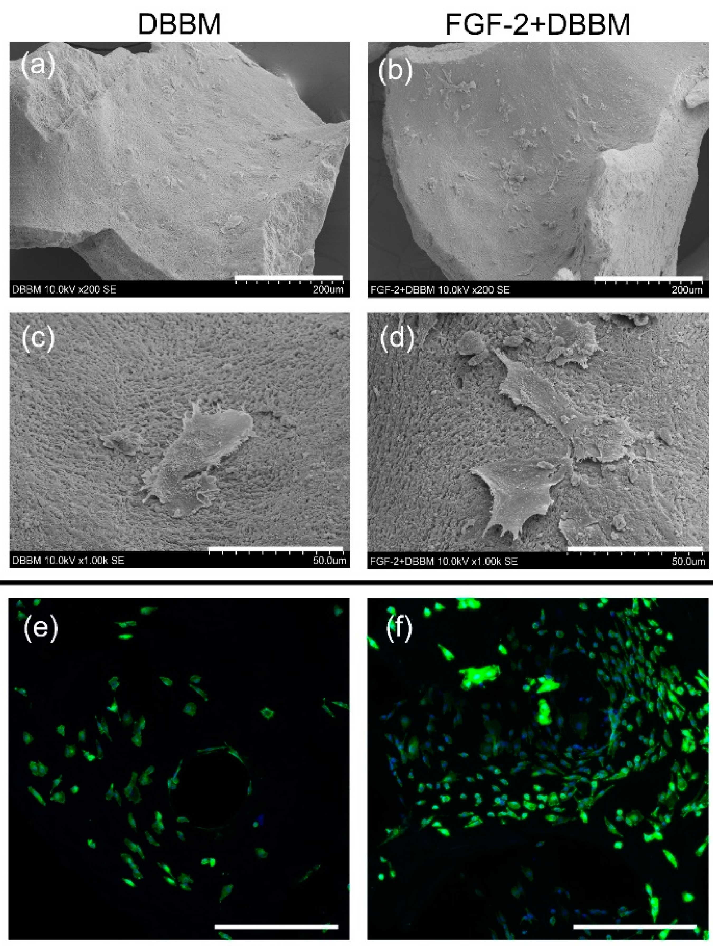Biomolecules 11 00805 g006 Biomolecules 11 00805 g006