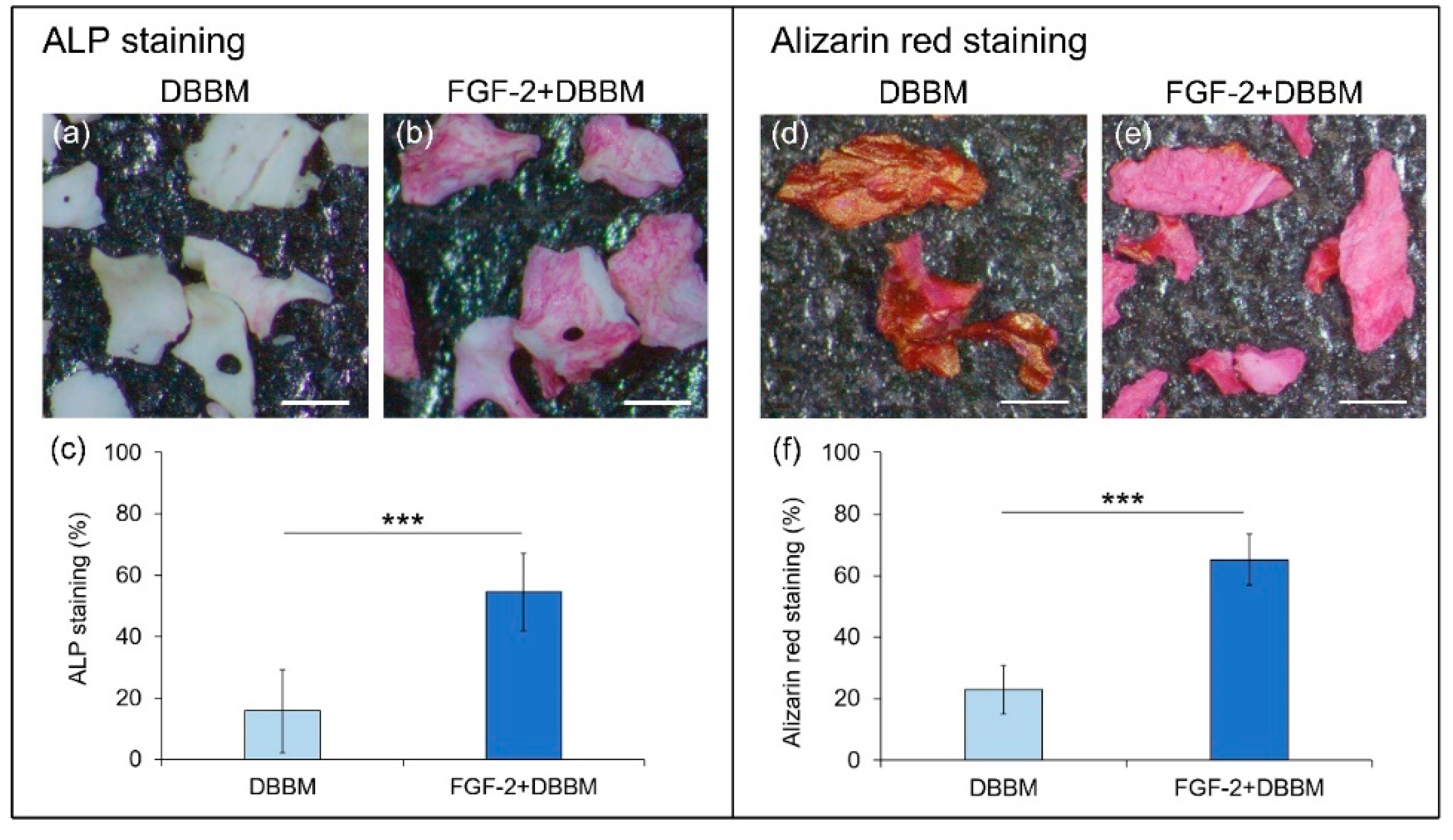 Biomolecules 11 00805 g007 Biomolecules 11 00805 g007