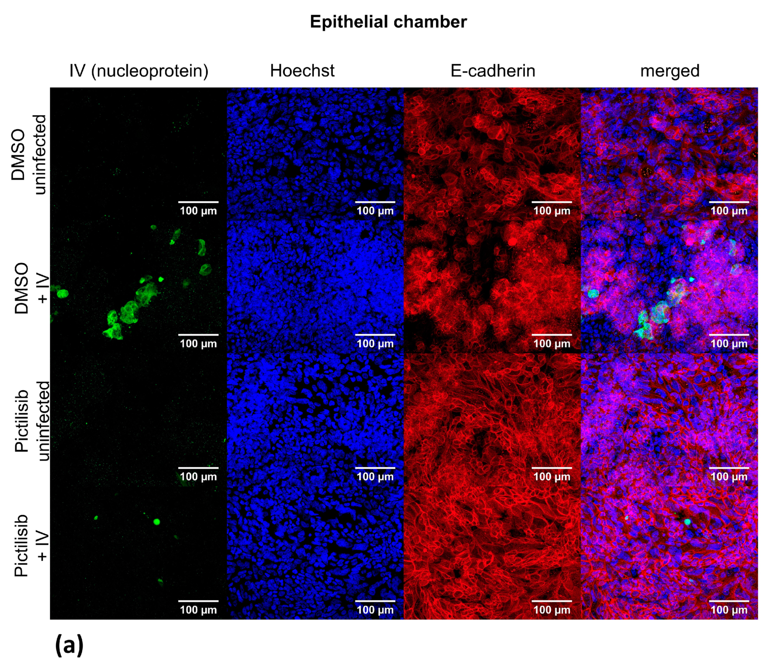 Biomolecules 11 00808 g005a Biomolecules 11 00808 g005a