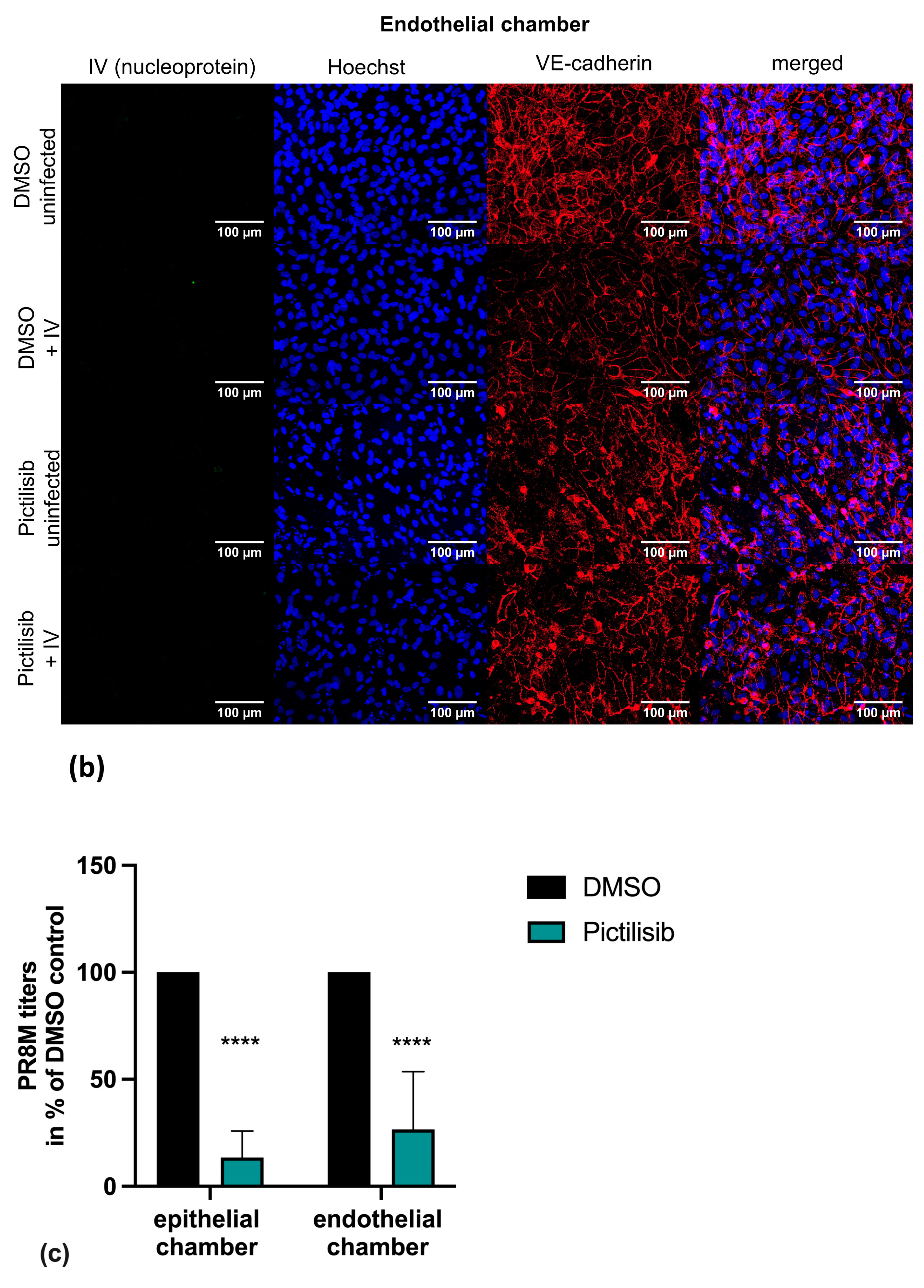 Biomolecules 11 00808 g005b Biomolecules 11 00808 g005b