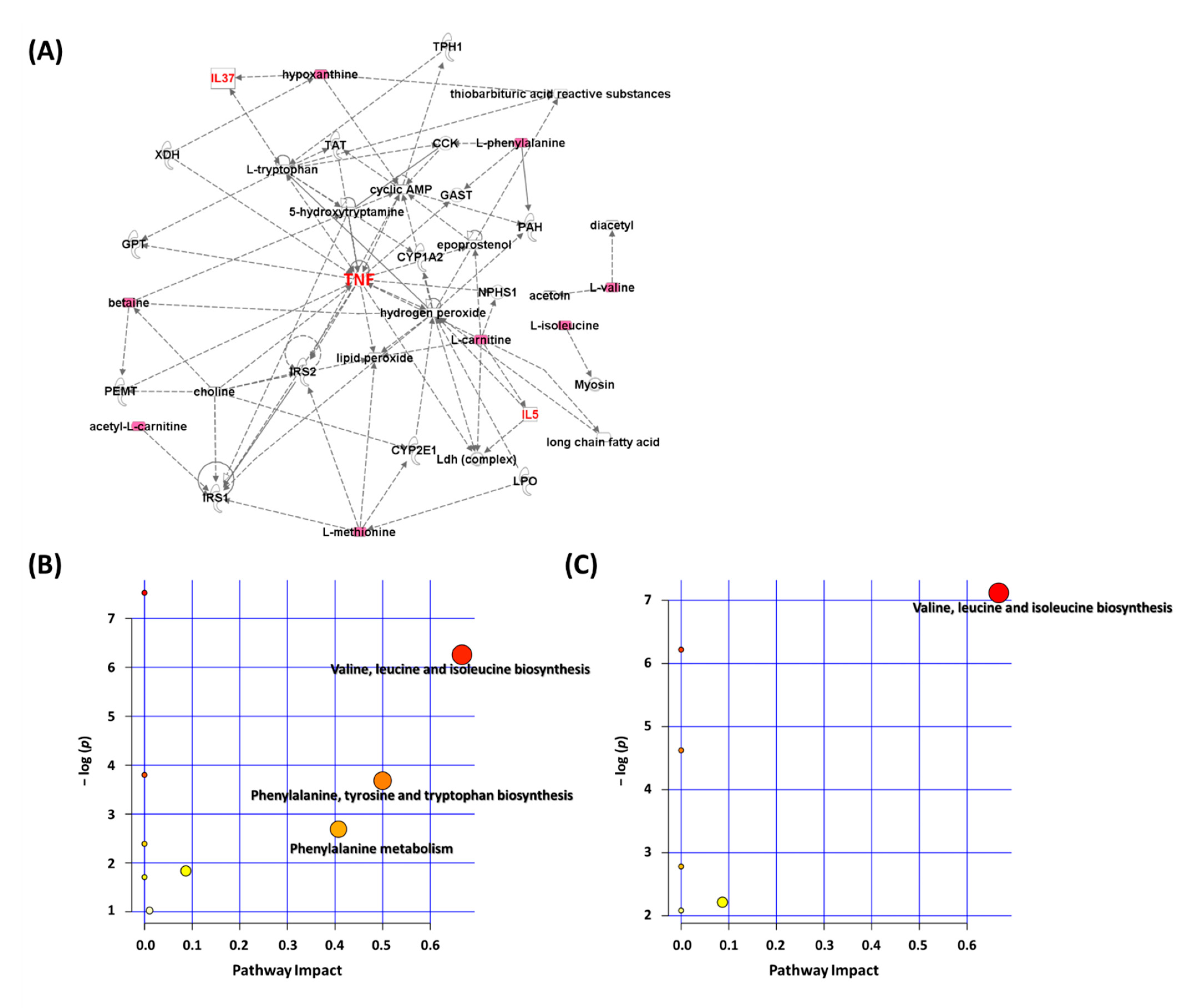 Biomolecules 11 00812 g003