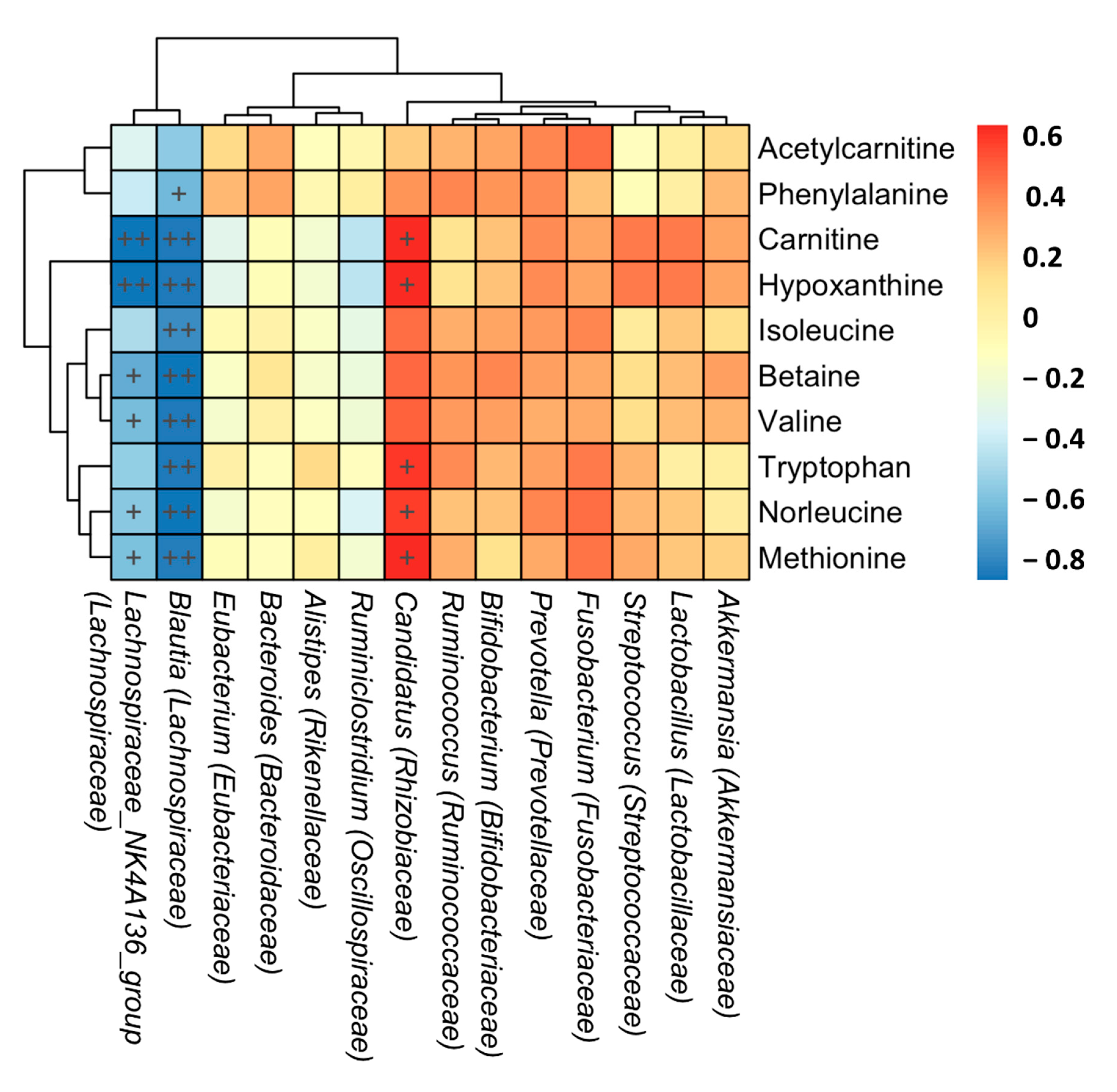 Biomolecules 11 00812 g006
