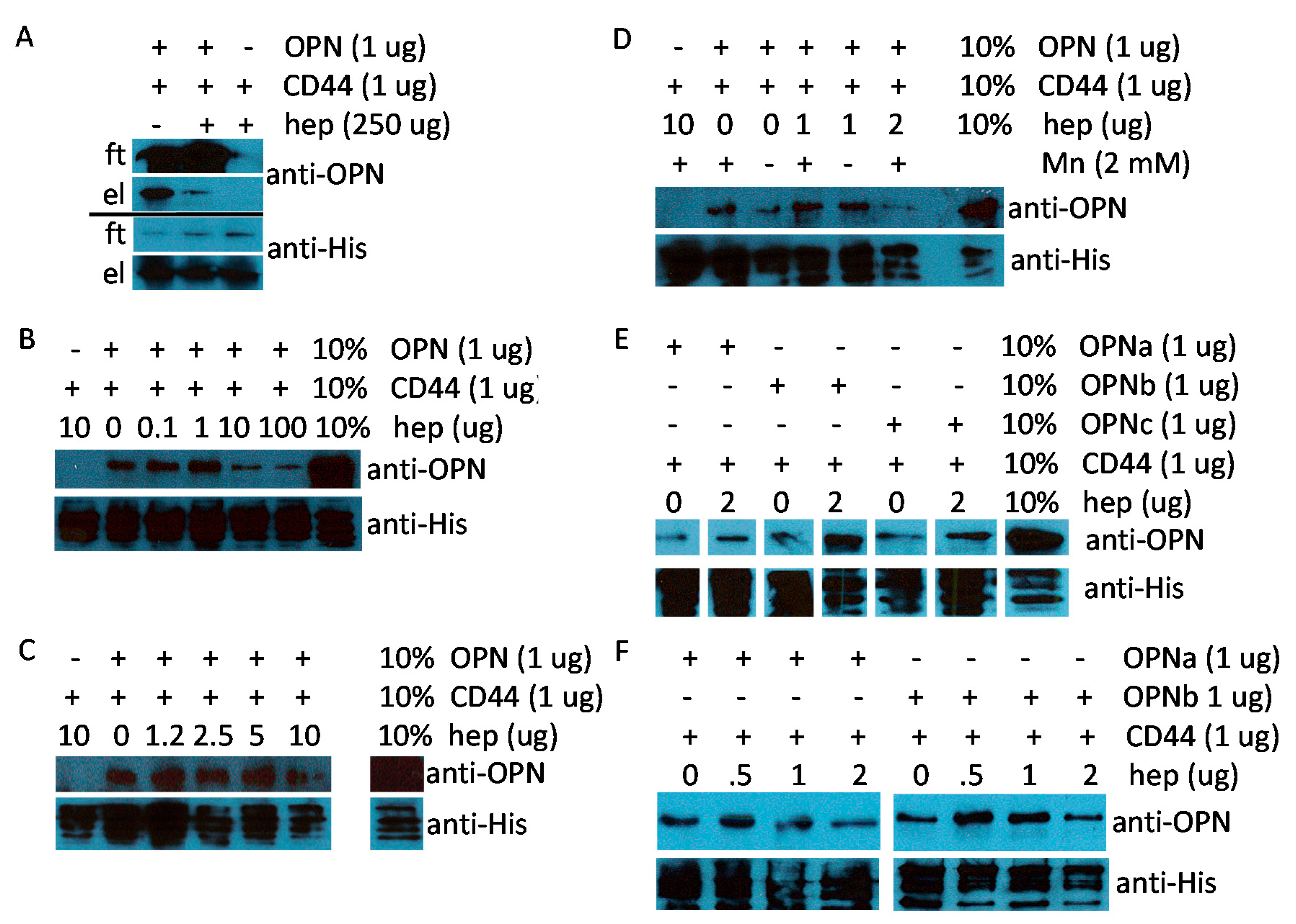 Biomolecules 11 00813 g004a Biomolecules 11 00813 g004a
