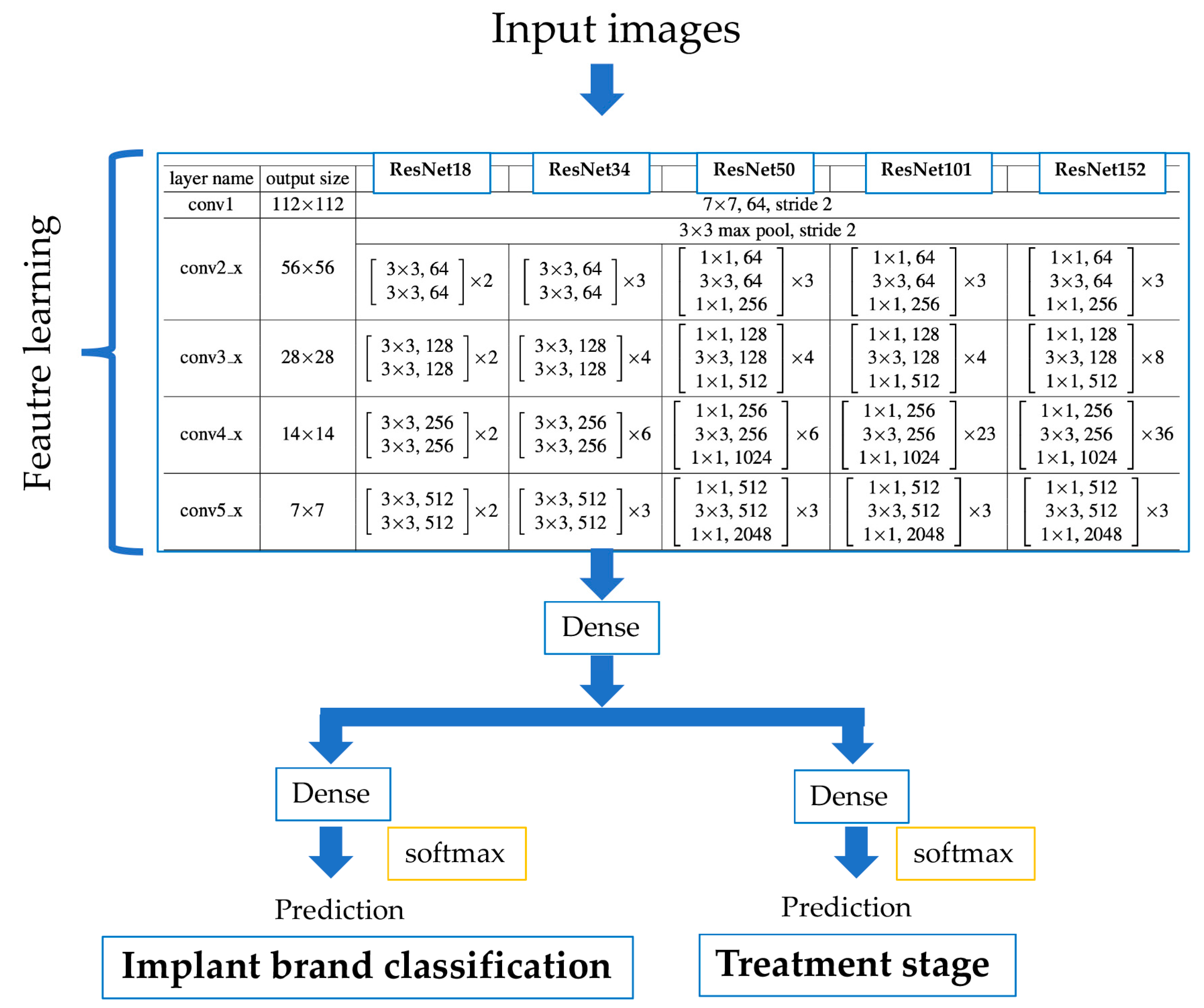 Biomolecules 11 00815 g002 Biomolecules 11 00815 g002