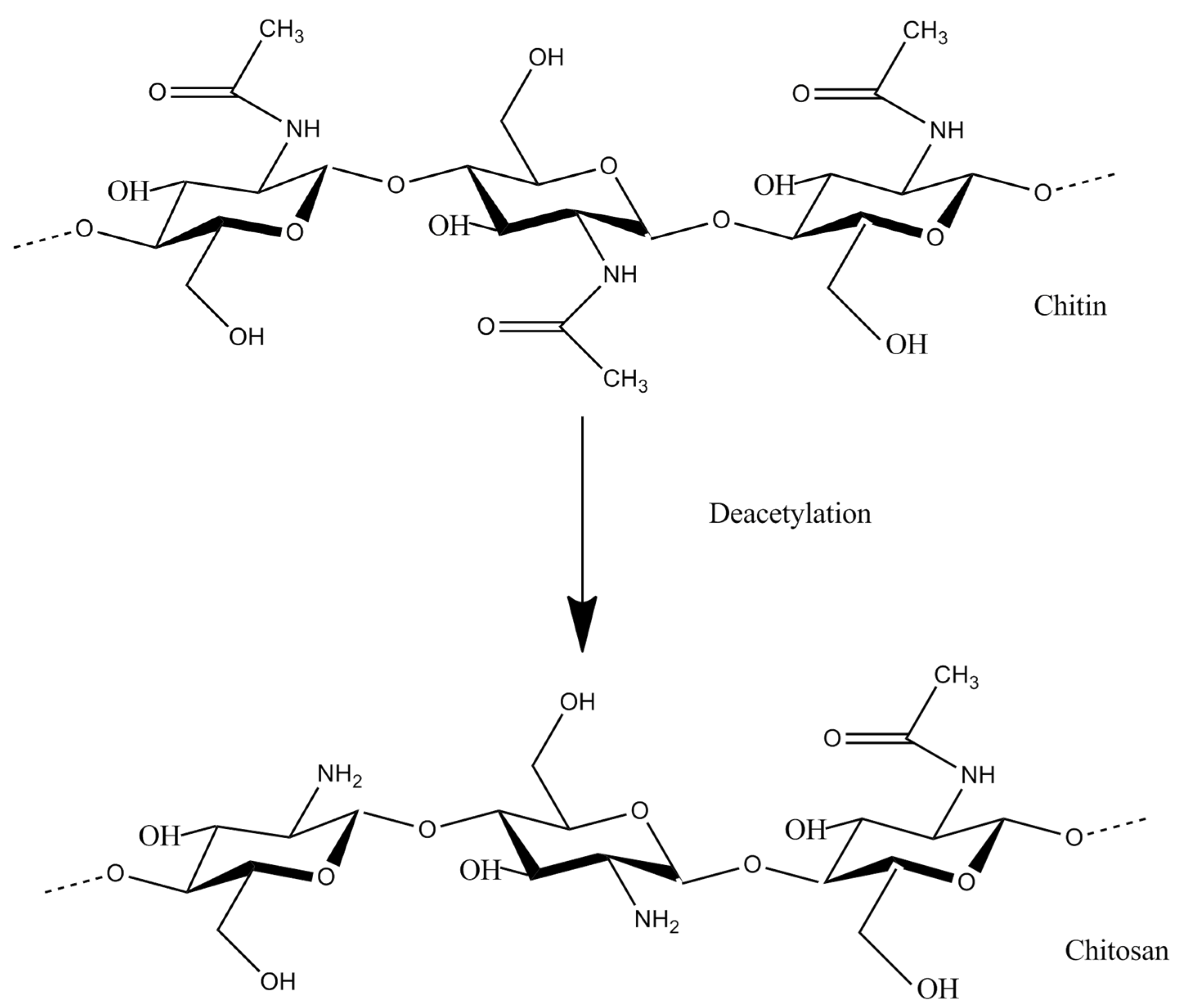 Biomolecules 11 00819 g002