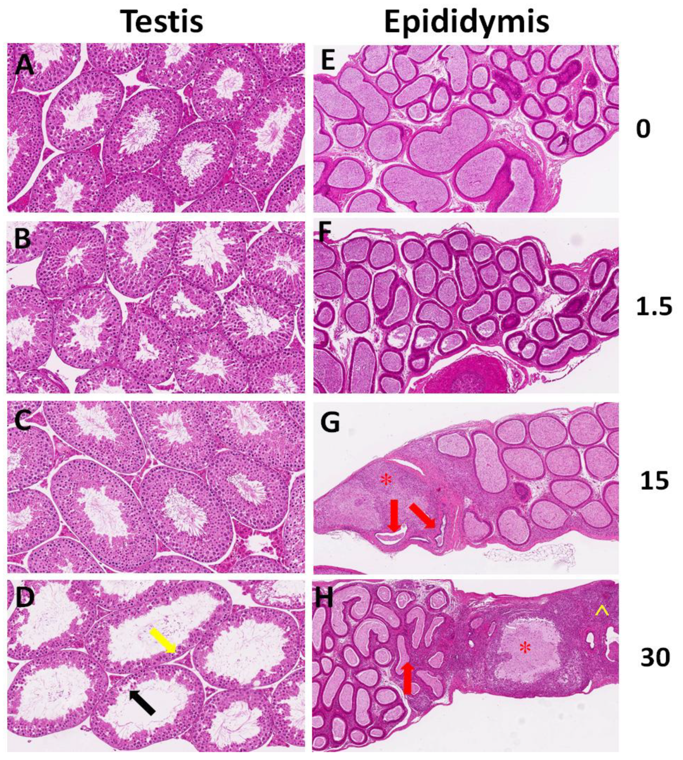 Biomolecules 11 00821 g002 Biomolecules 11 00821 g002