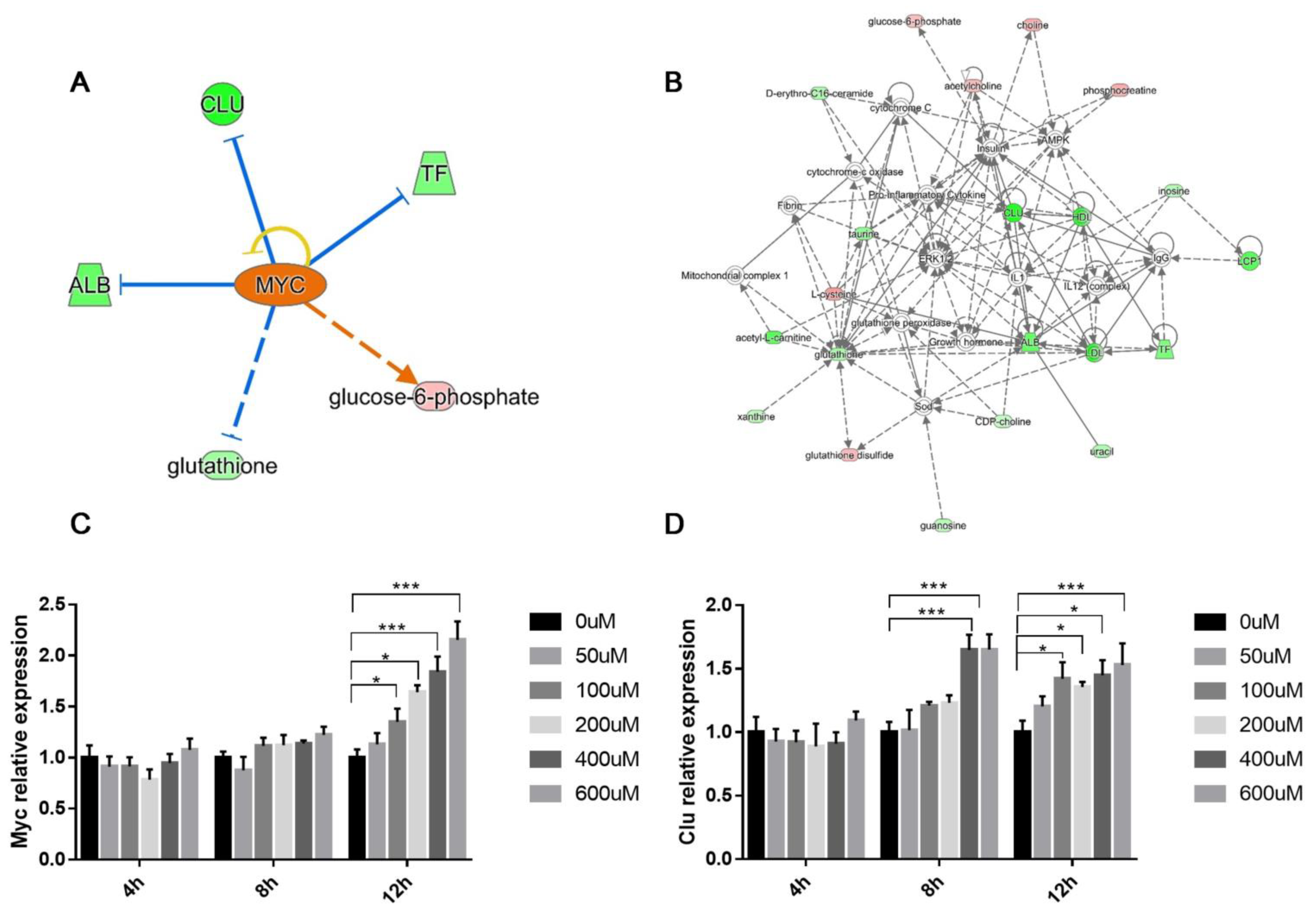 Biomolecules 11 00821 g007 Biomolecules 11 00821 g007