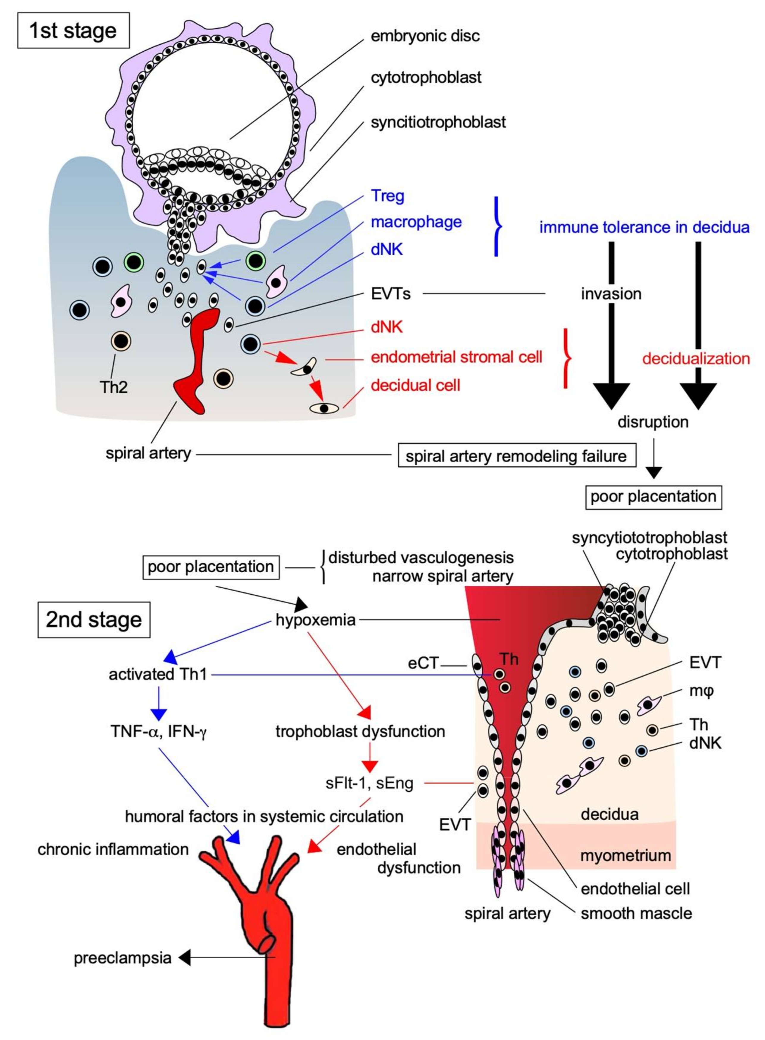 Biomolecules 11 00822 g001 Biomolecules 11 00822 g001