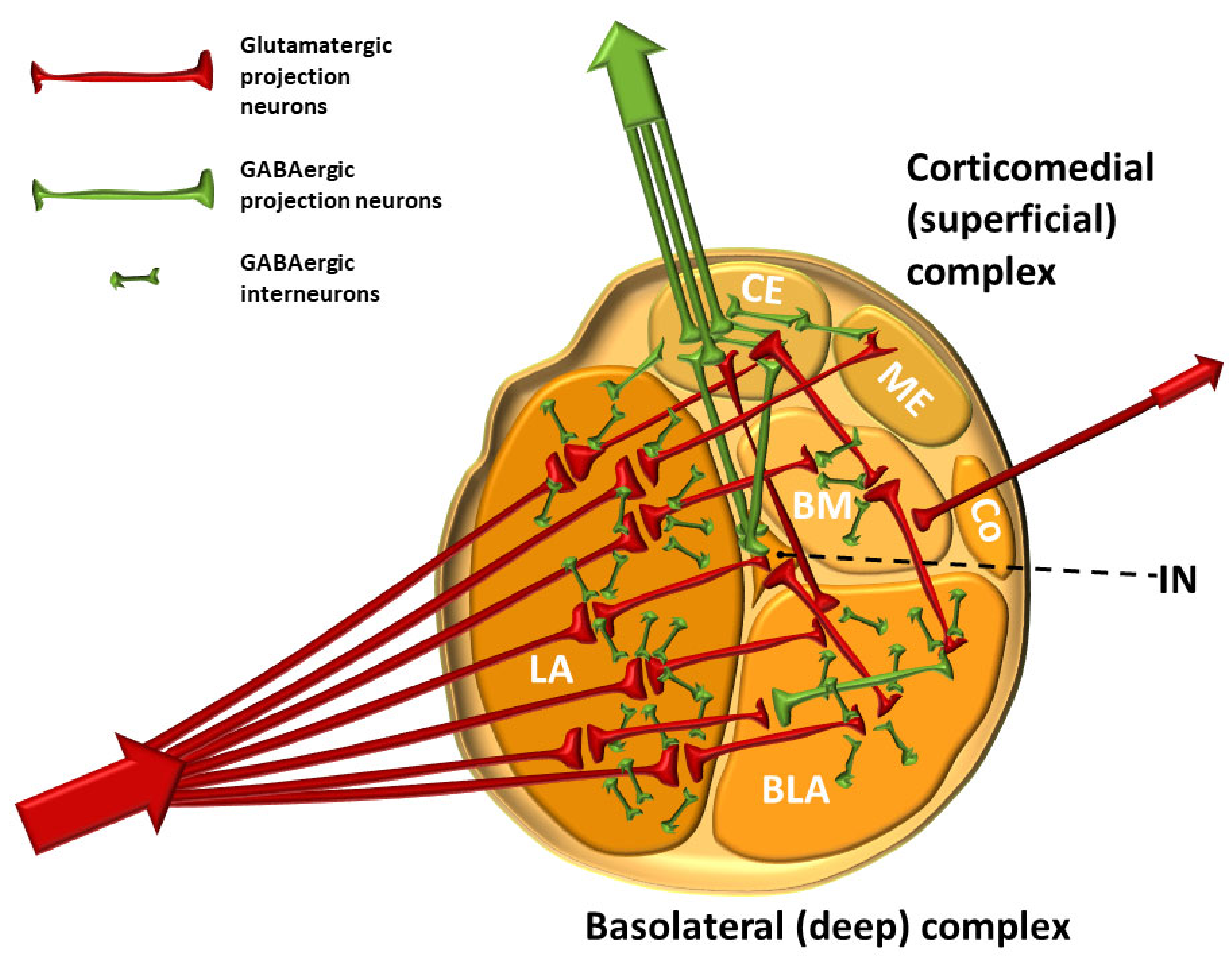Biomolecules 11 00823 g007