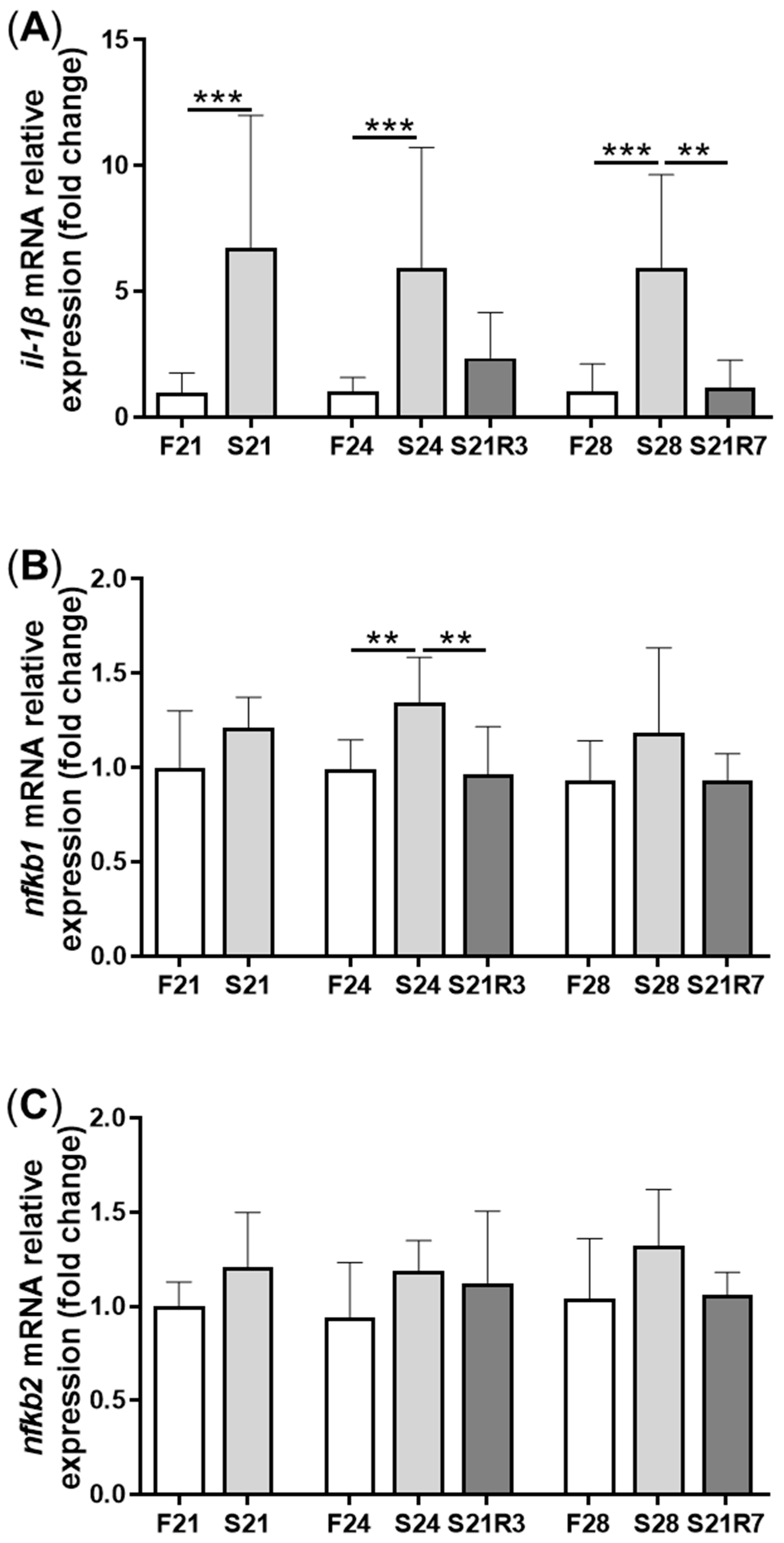 Biomolecules 11 00825 g006a Biomolecules 11 00825 g006a