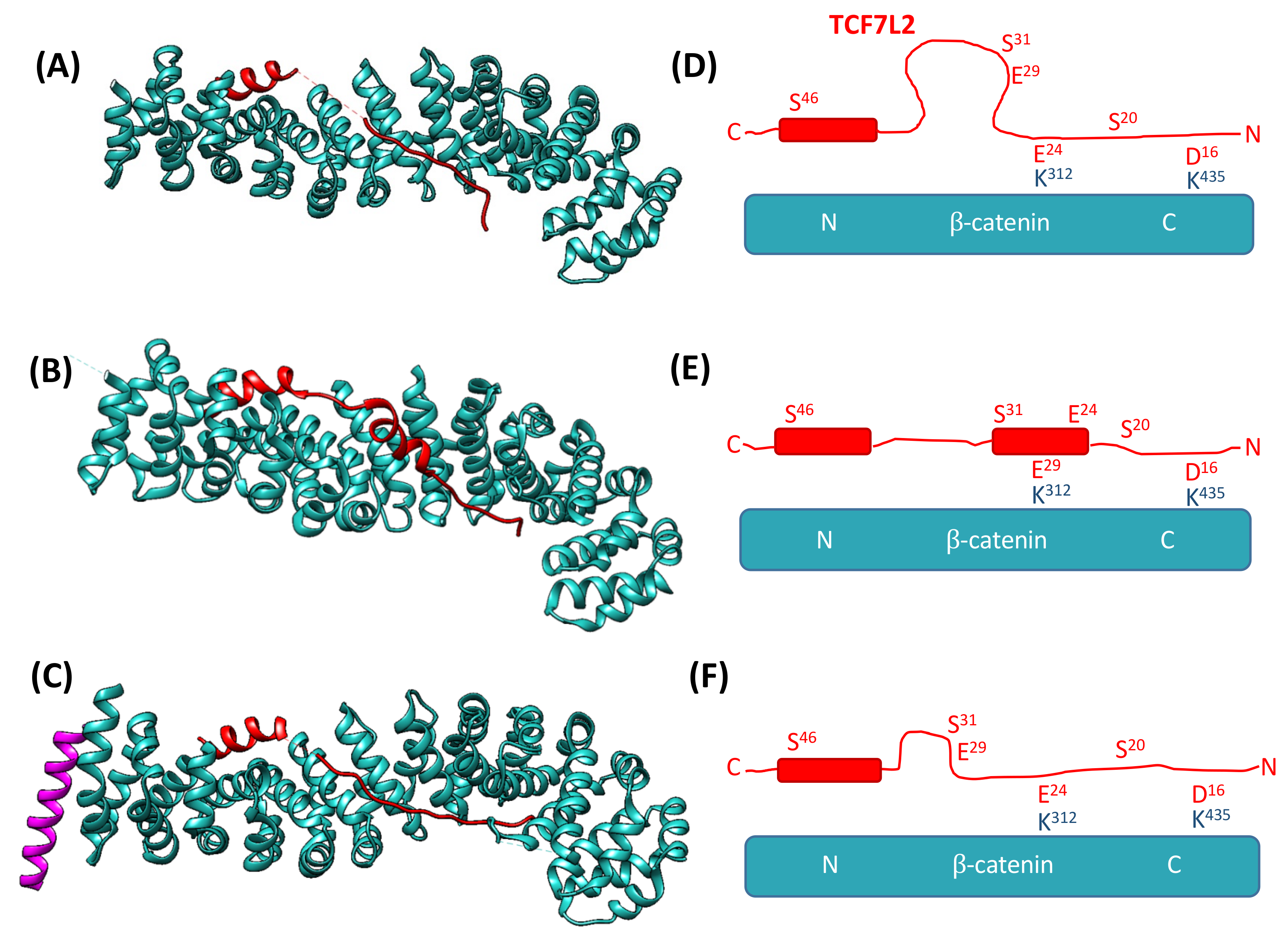 Biomolecules 11 00827 g002