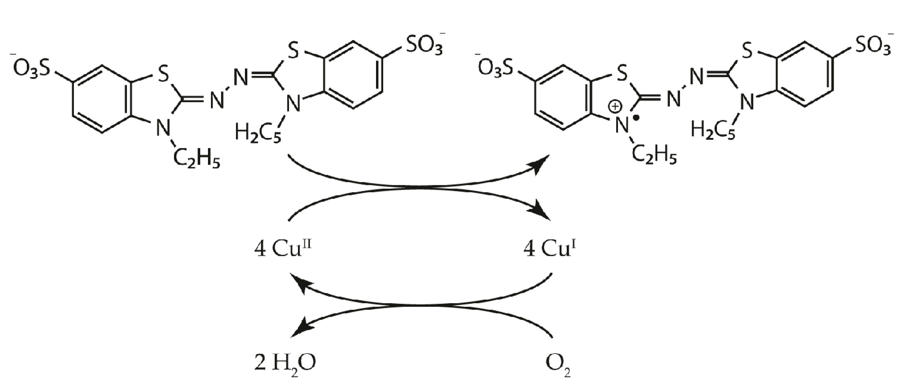 Biomolecules 11 00828 g001