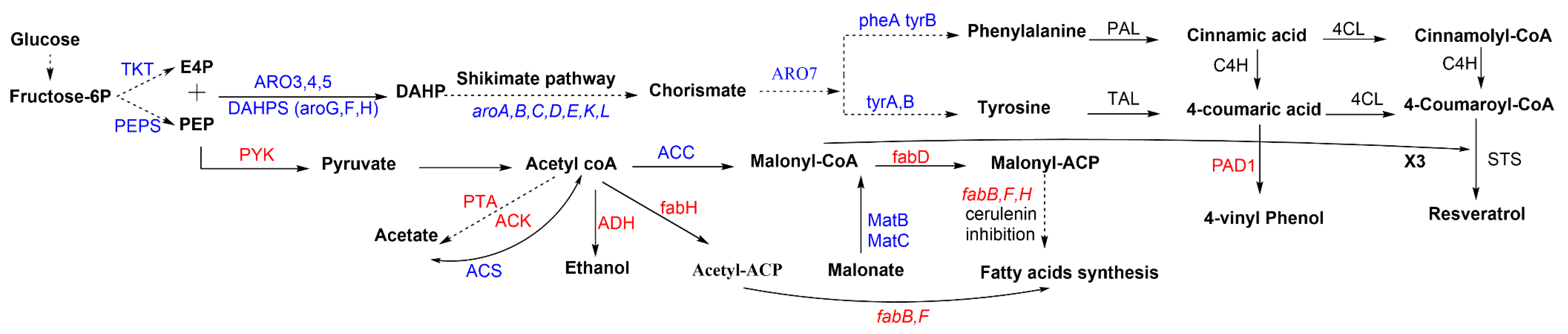Biomolecules 11 00830 g003