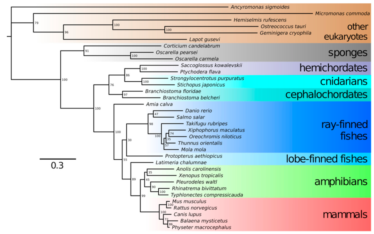Biomolecules 11 00831 g002