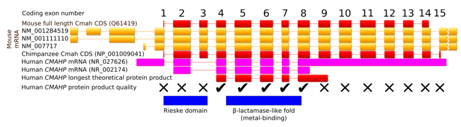 Biomolecules 11 00831 g003