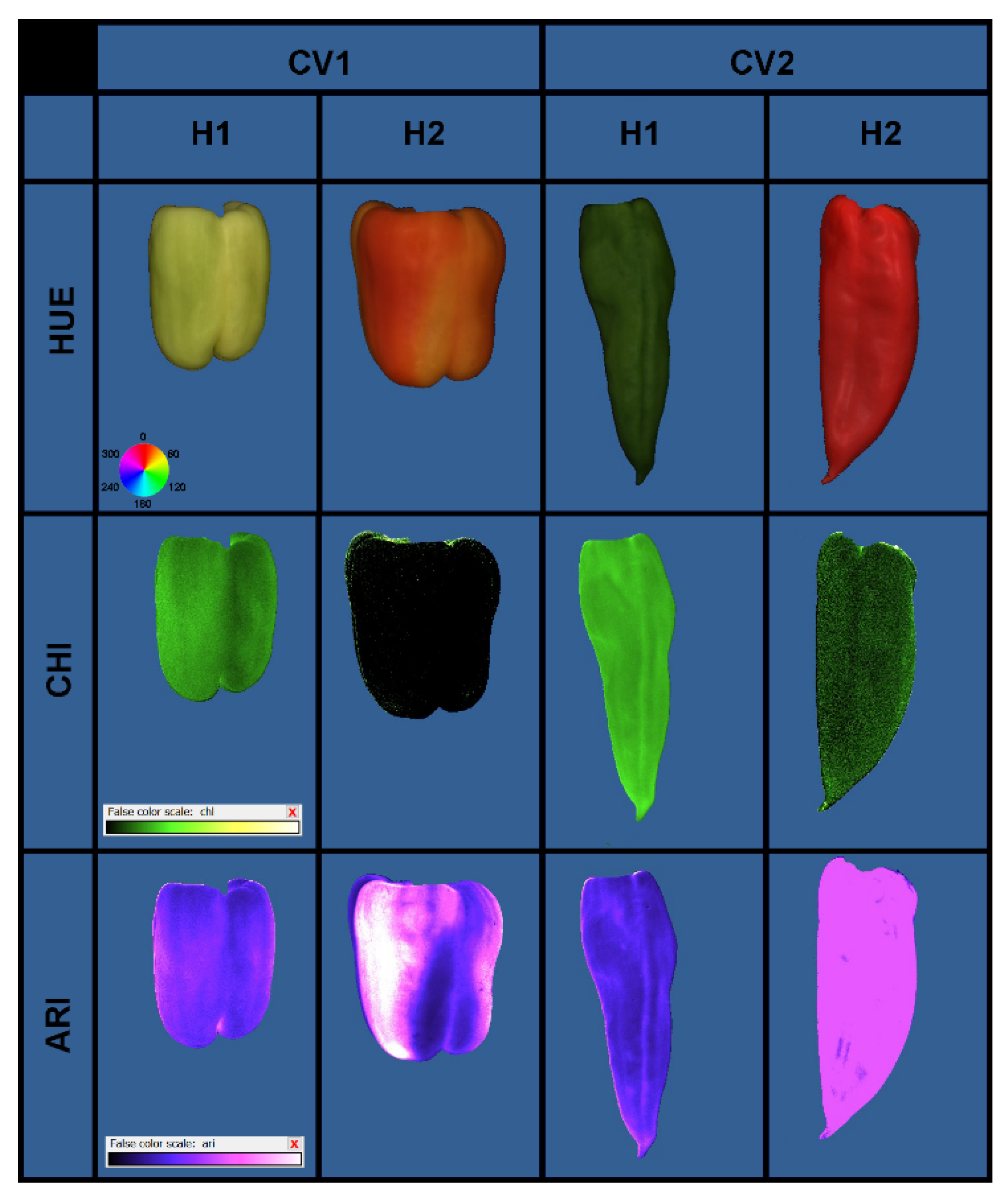Biomolecules Free Full Text Multispectral Assessment Of Sweet Pepper Capsicum Annuum L Fruit Quality Affected By Calcite Nanoparticles Html
