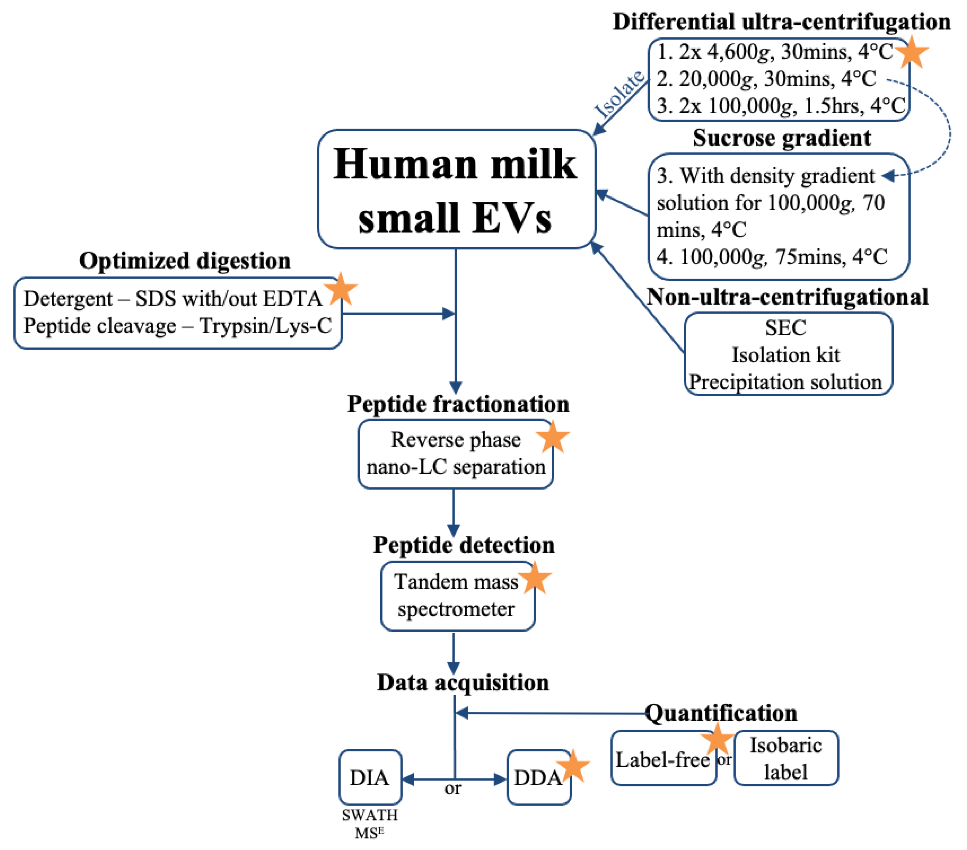 Biomolecules 11 00833 g005 Biomolecules 11 00833 g005