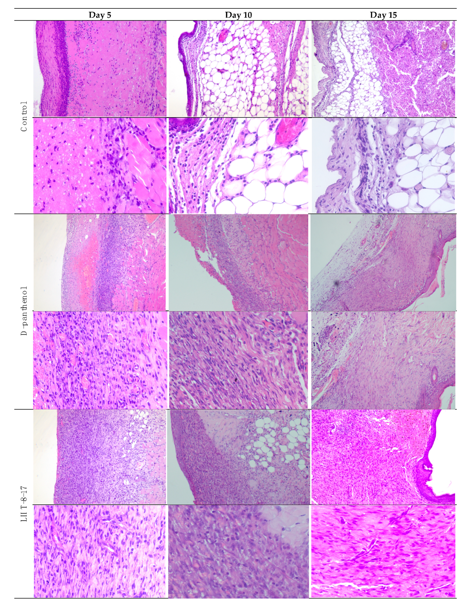 Biomolecules 11 00834 g004