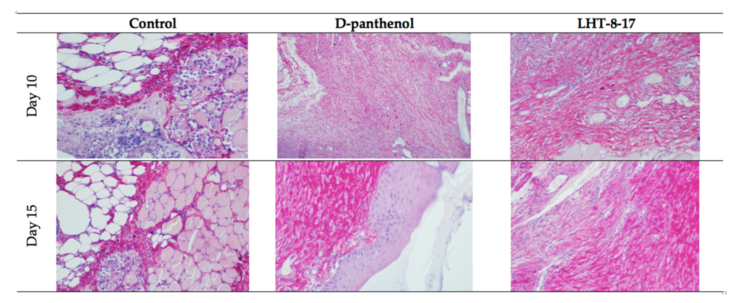Biomolecules 11 00834 g005