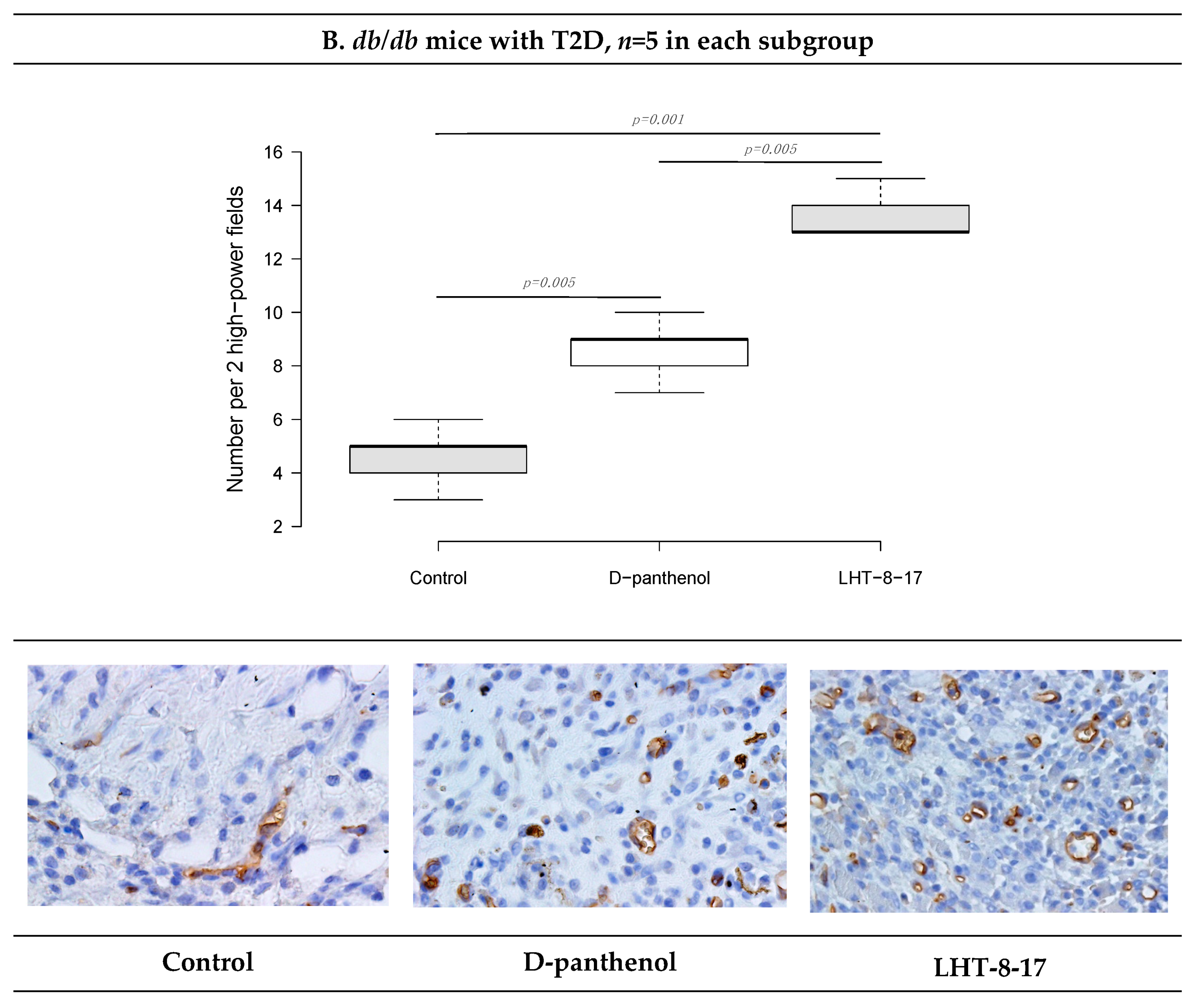 Biomolecules 11 00834 g007b