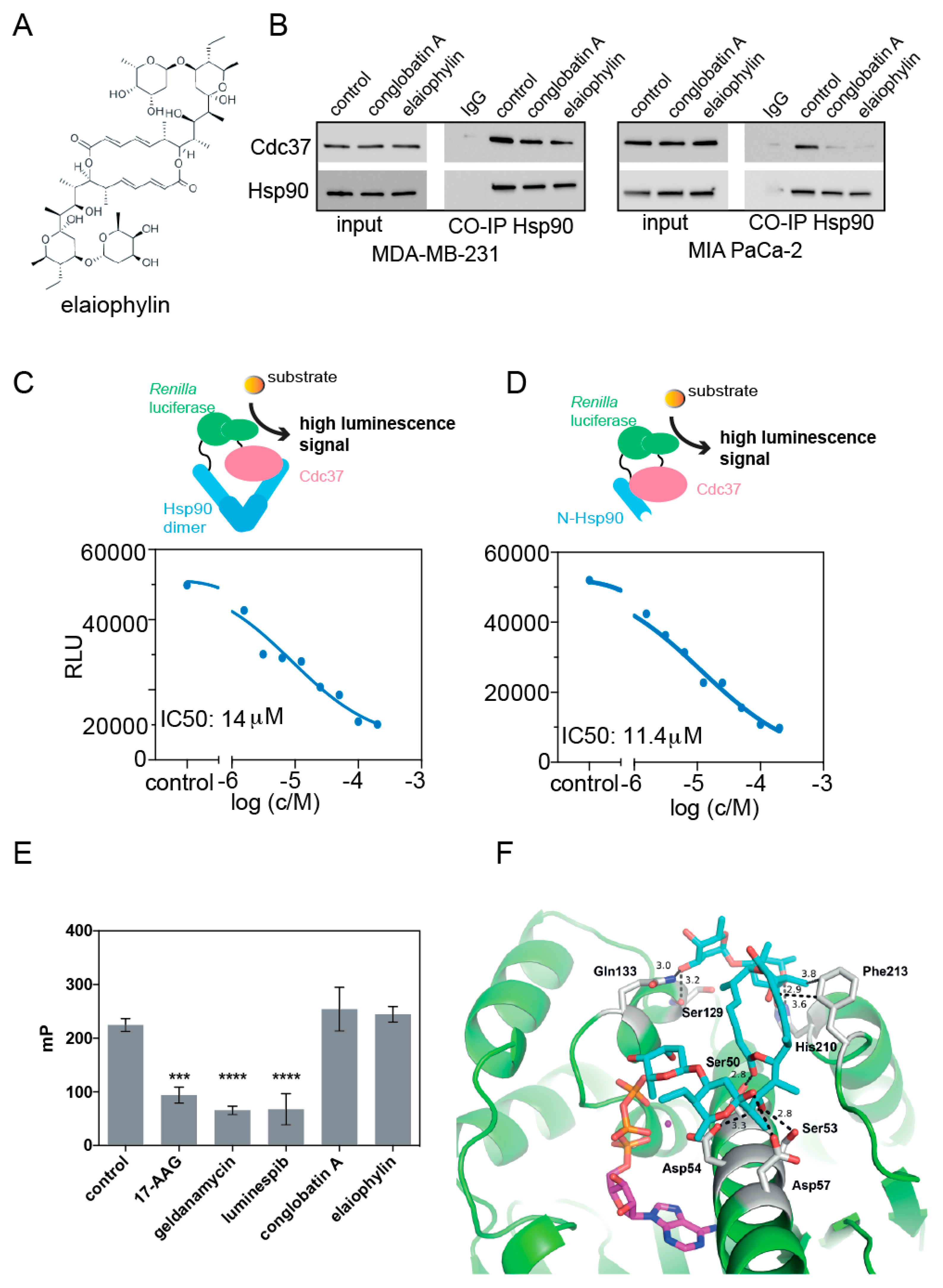 Biomolecules 11 00836 g001