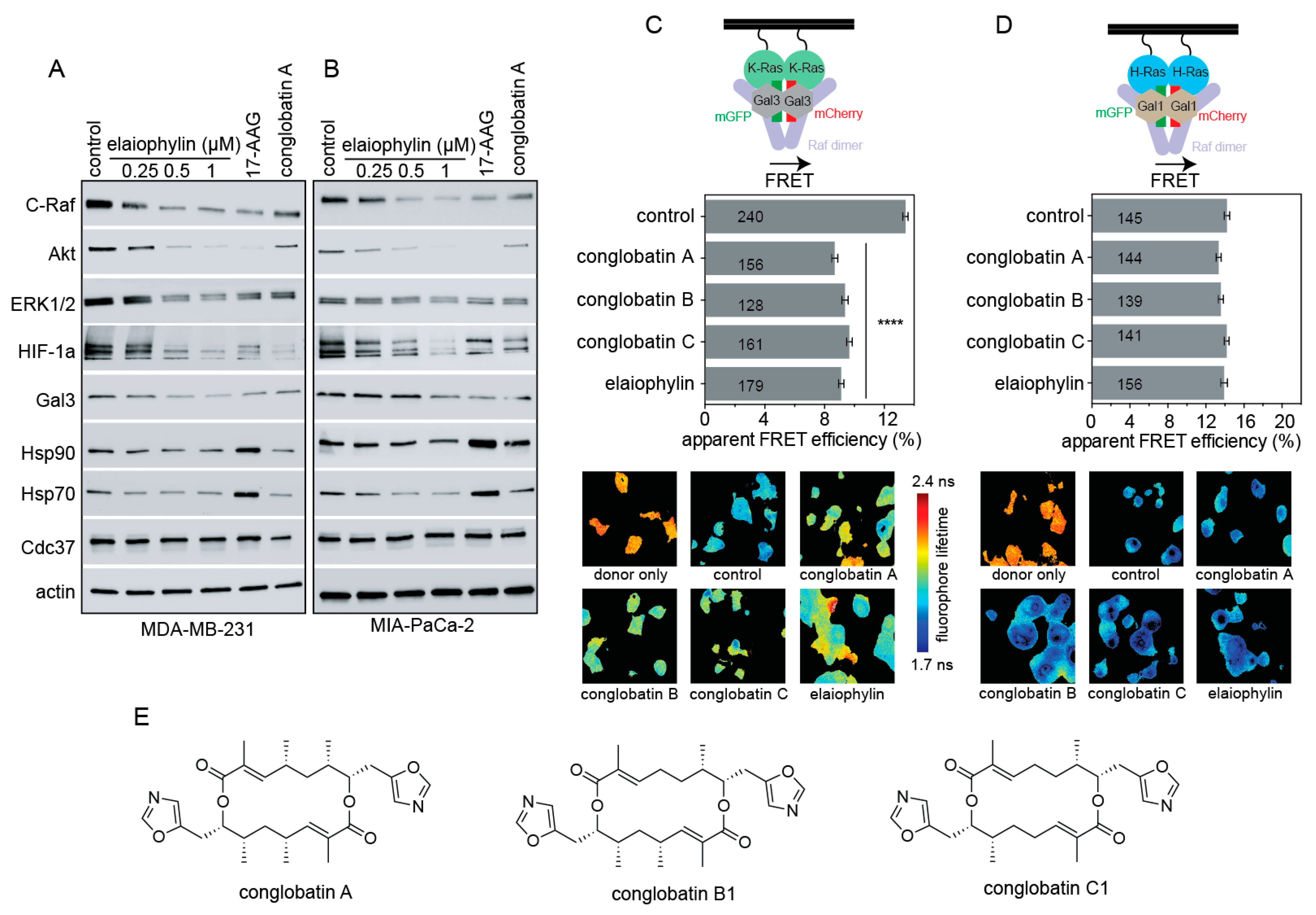 Biomolecules 11 00836 g002