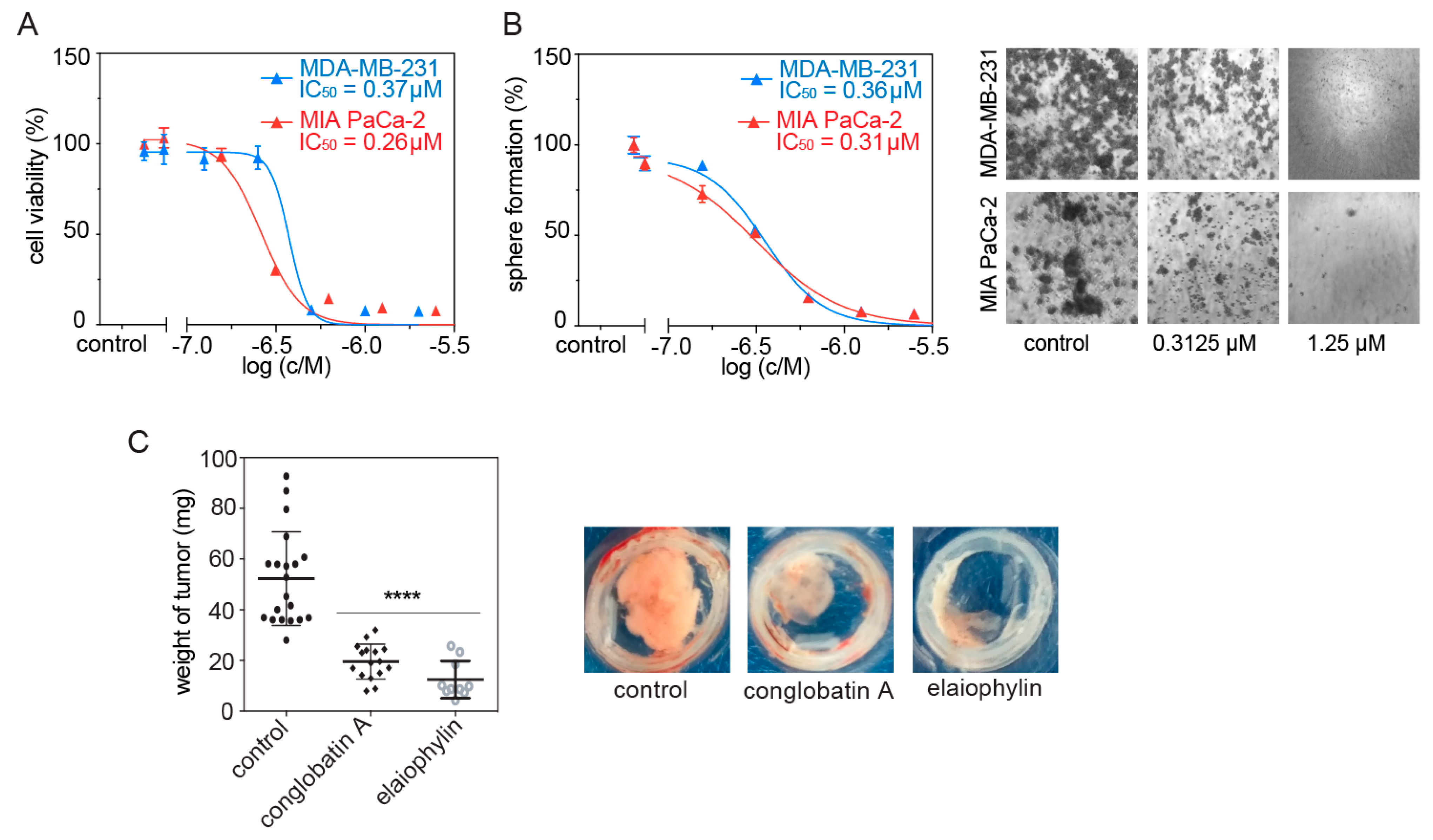 Biomolecules 11 00836 g003