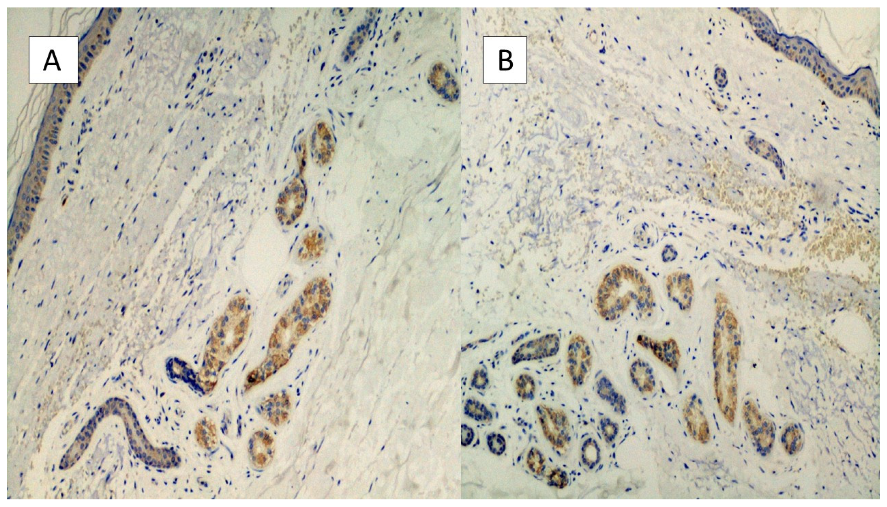 Biomolecules 11 00838 g003
