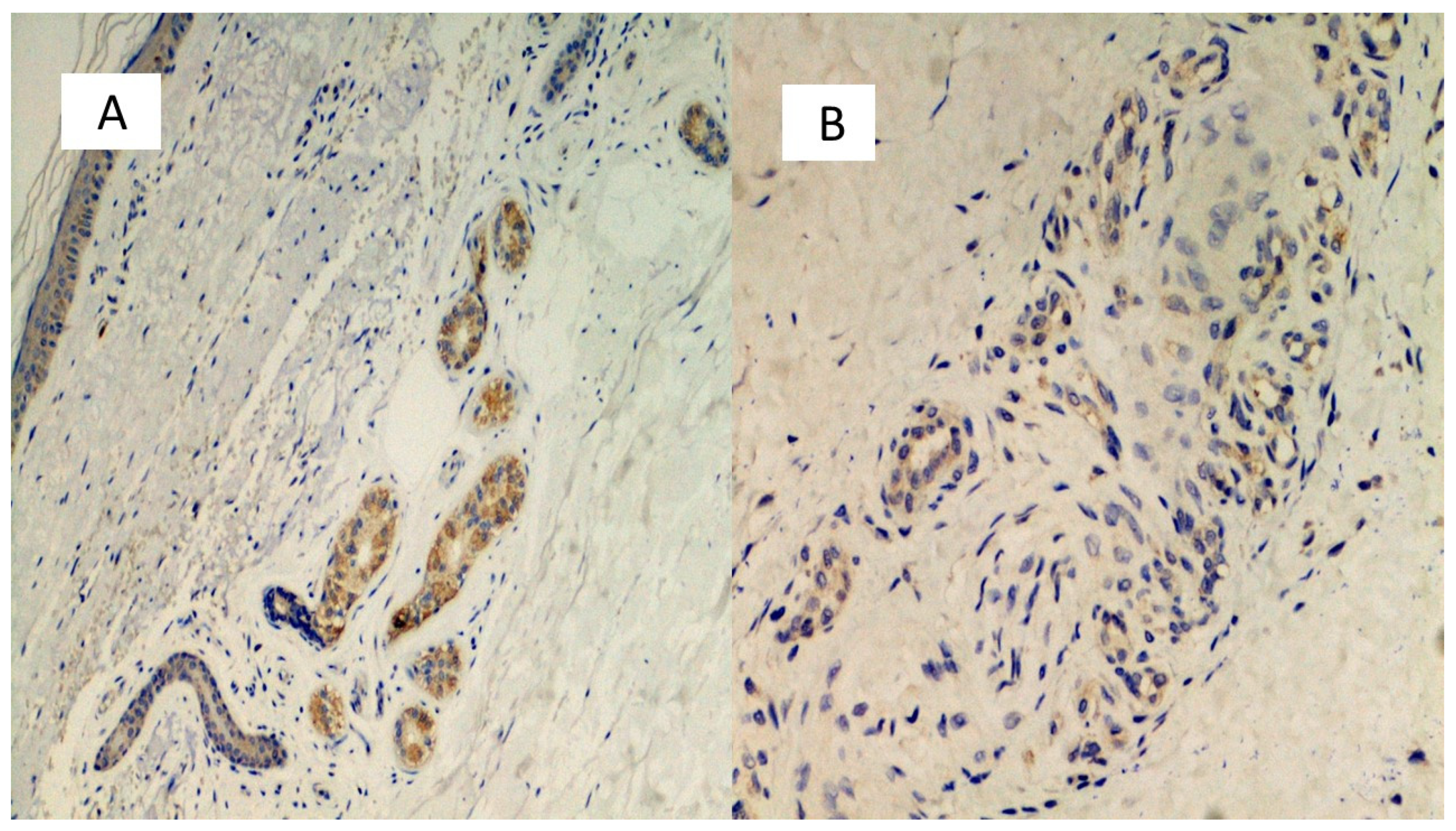 Biomolecules 11 00838 g007