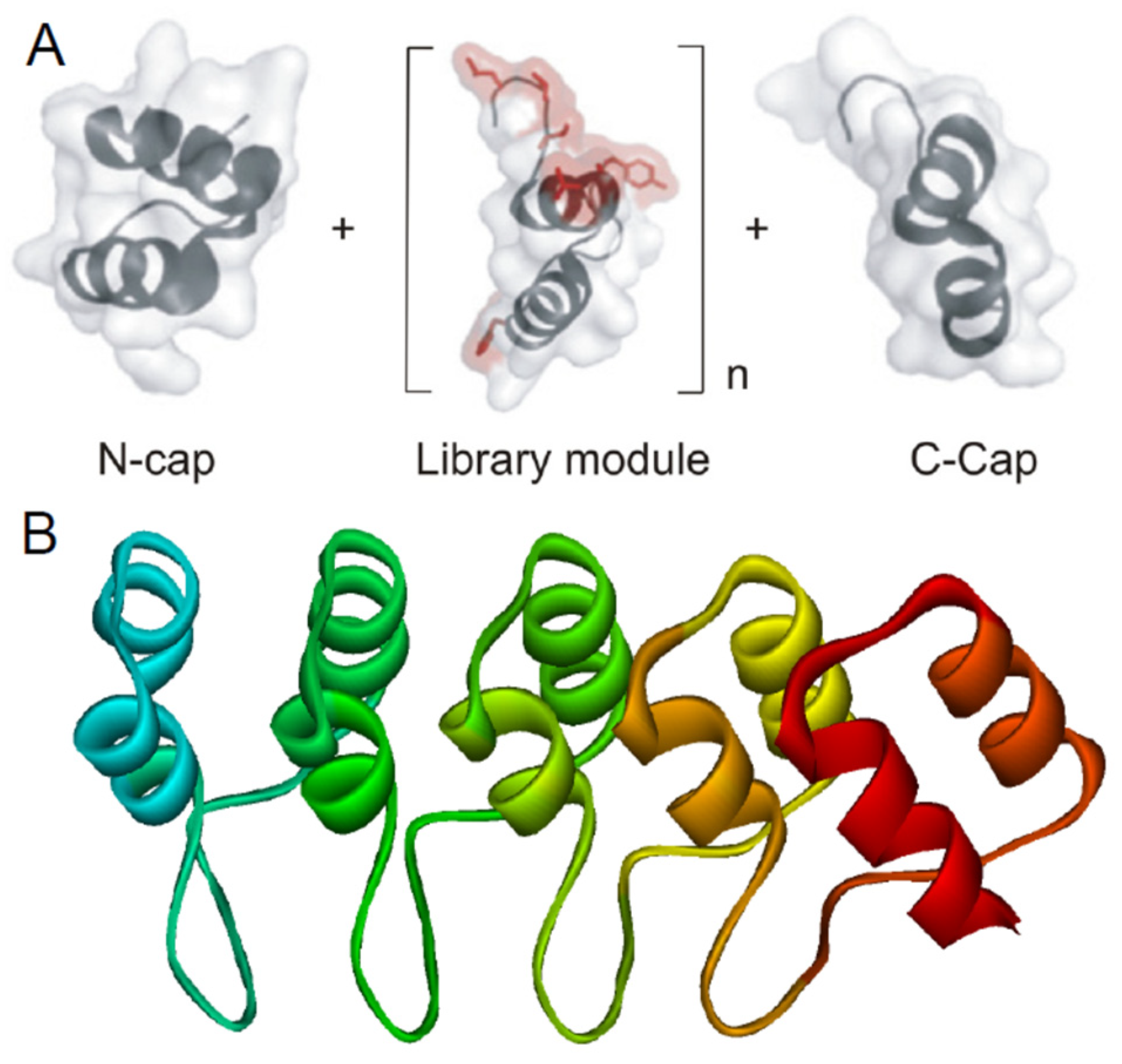 Biomolecules 11 00840 g002 Biomolecules 11 00840 g002