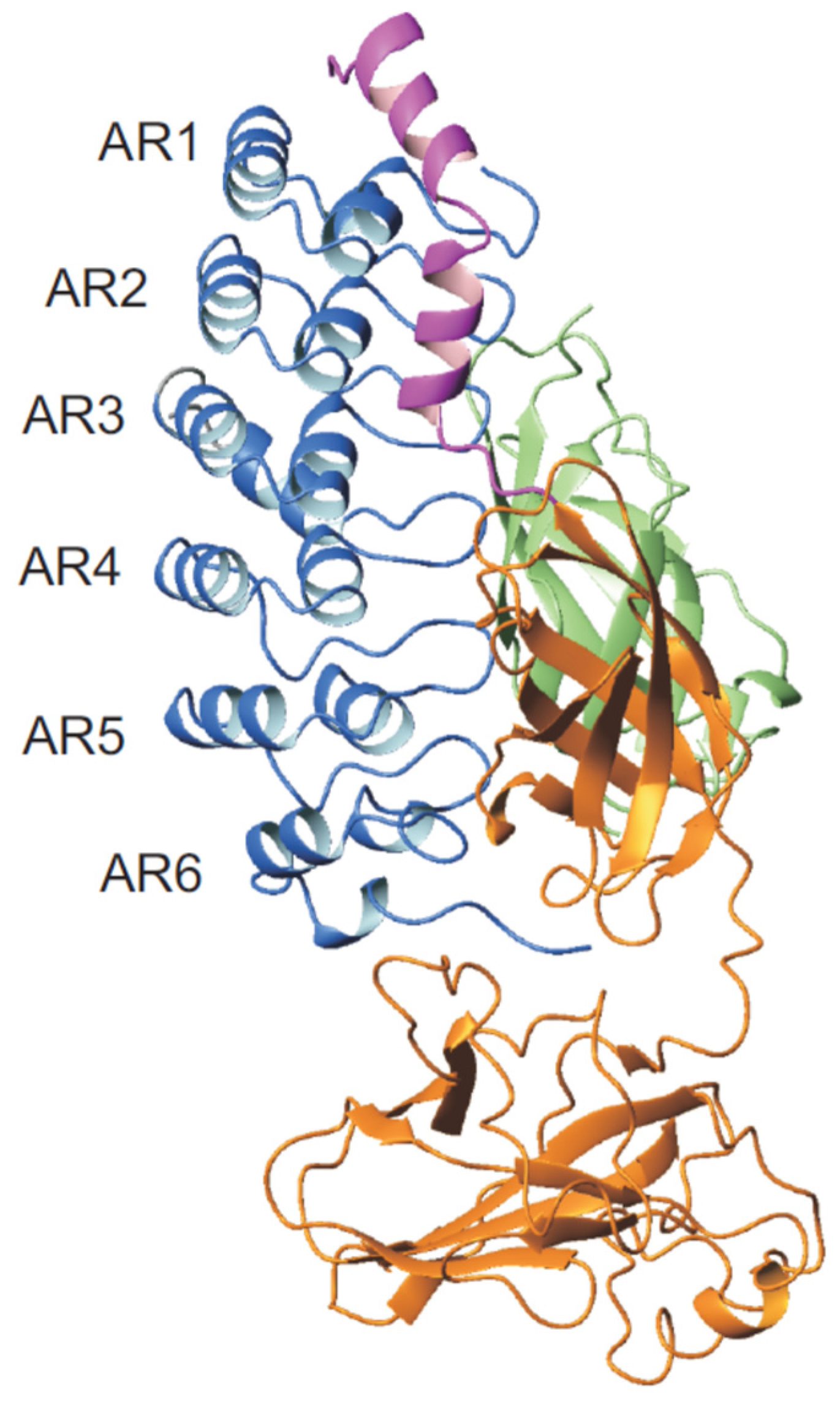 Biomolecules 11 00840 g004 Biomolecules 11 00840 g004