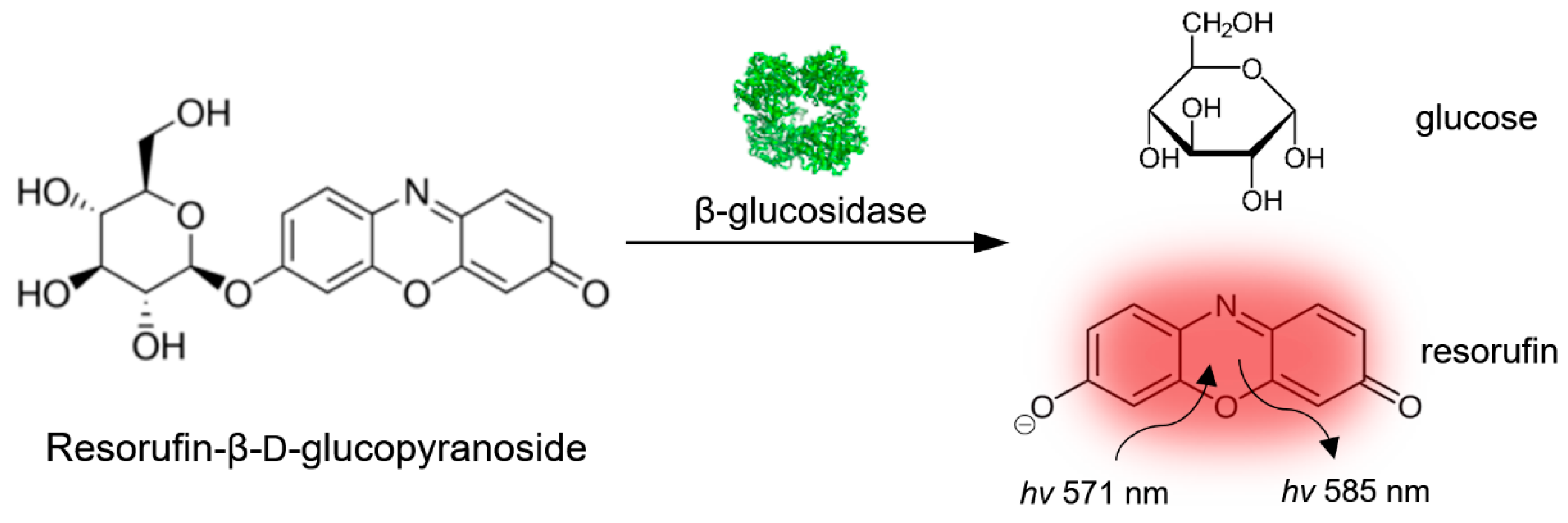 Biomolecules 11 00841 g003