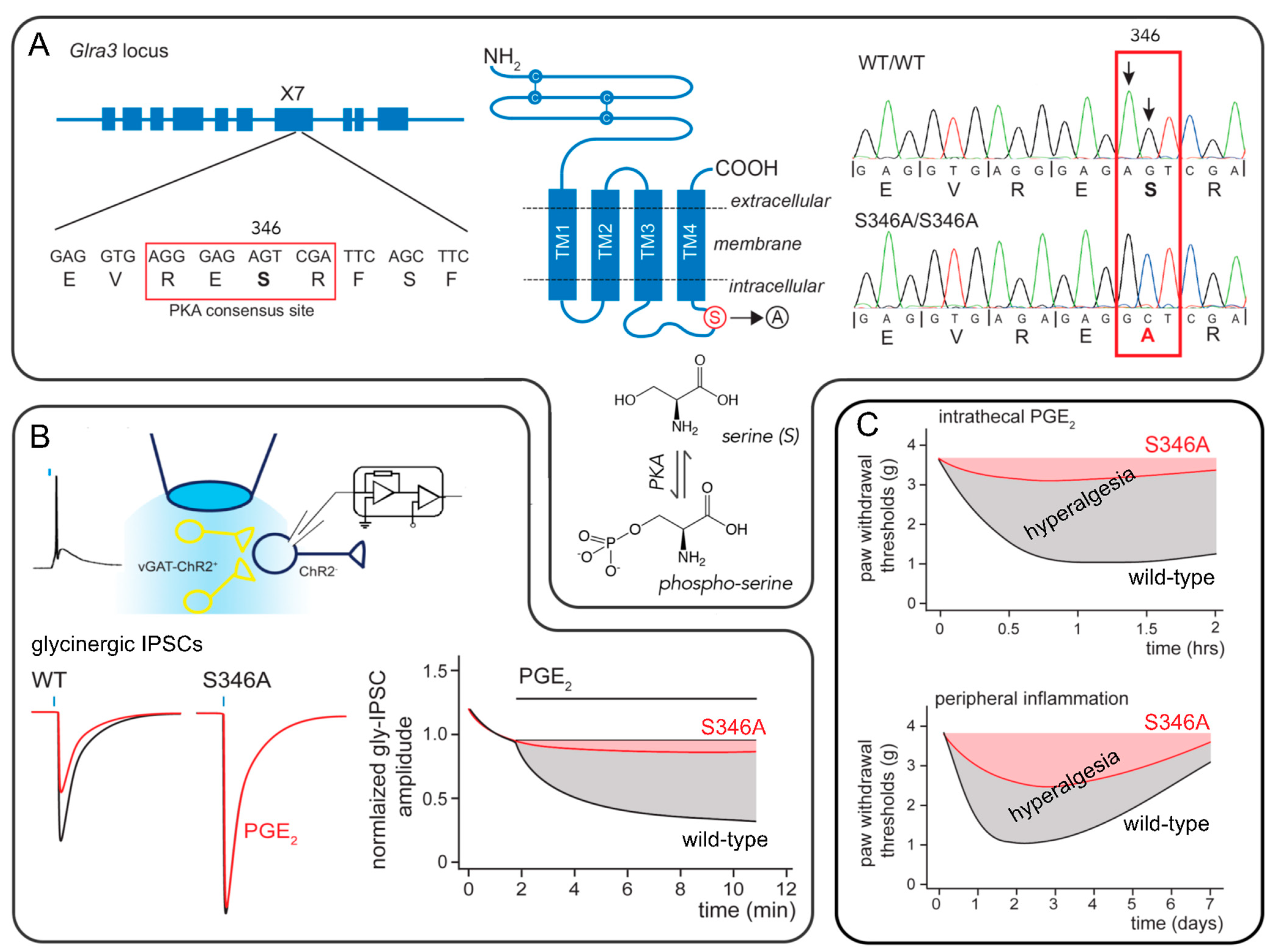 Biomolecules 11 00846 g002 Biomolecules 11 00846 g002