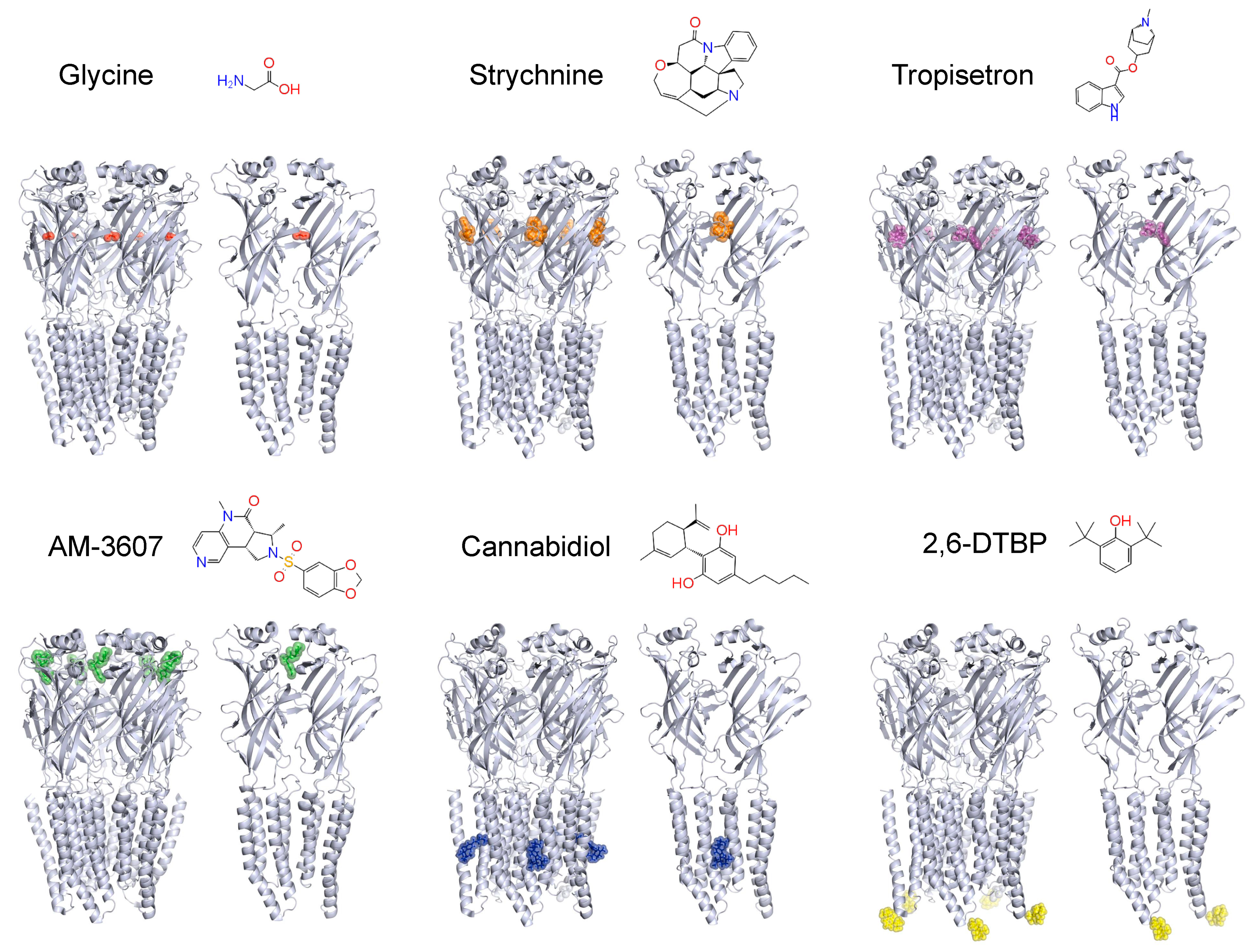Biomolecules 11 00846 g004 Biomolecules 11 00846 g004