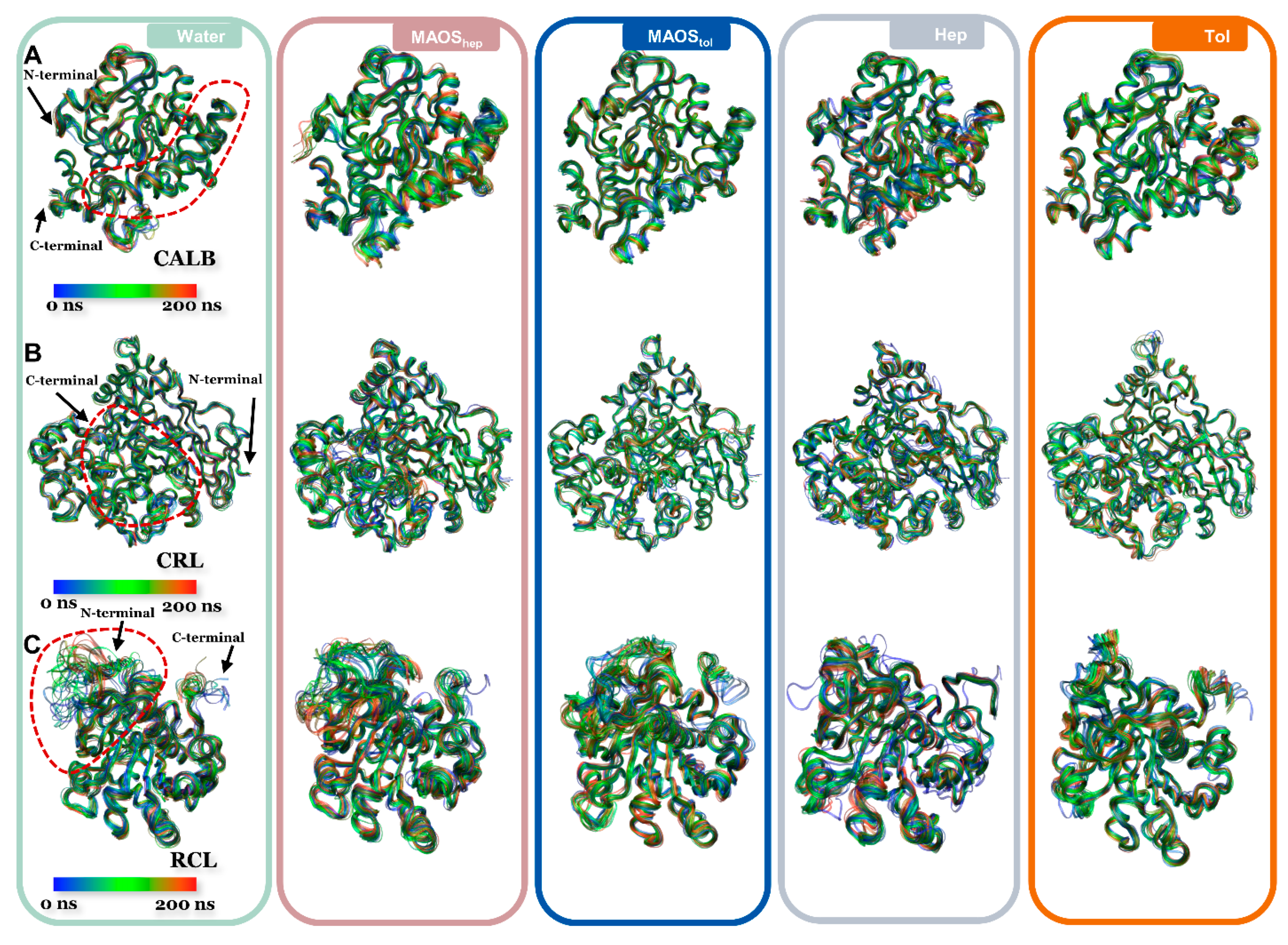 Biomolecules 11 00848 g001 Biomolecules 11 00848 g001