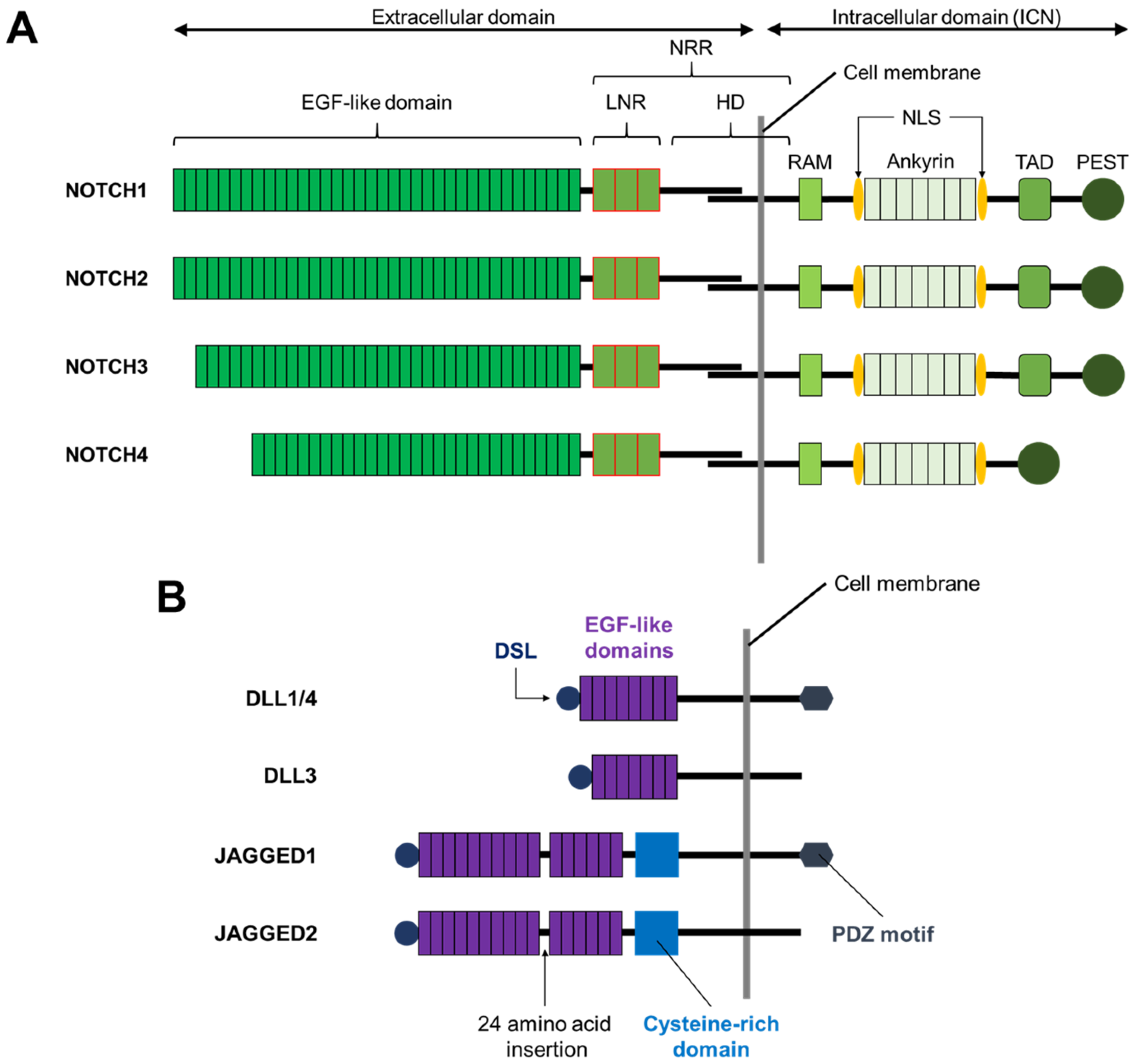 Biomolecules 11 00849 g001 Biomolecules 11 00849 g001