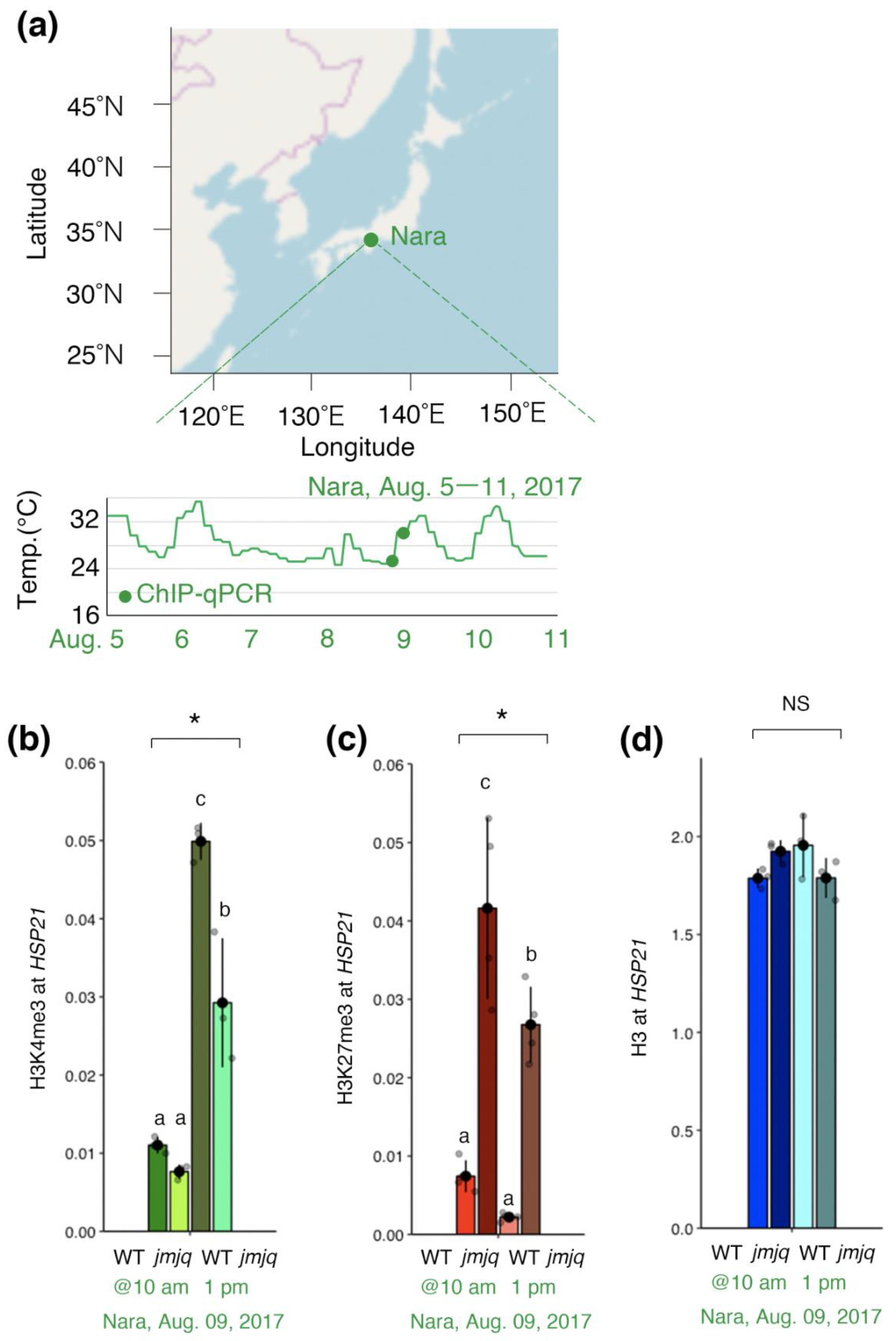 Biomolecules 11 00852 g004 Biomolecules 11 00852 g004