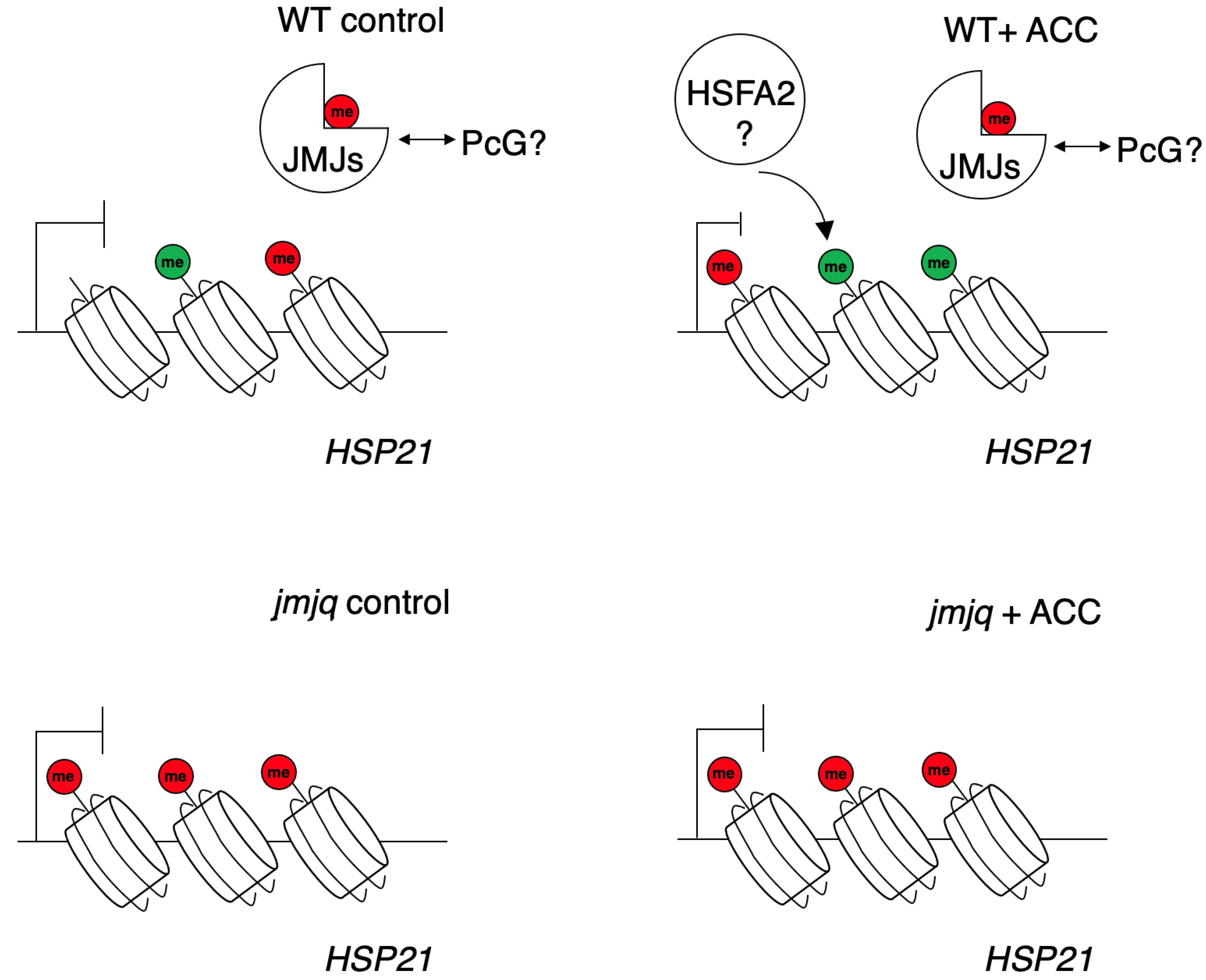 Biomolecules 11 00852 g005 Biomolecules 11 00852 g005