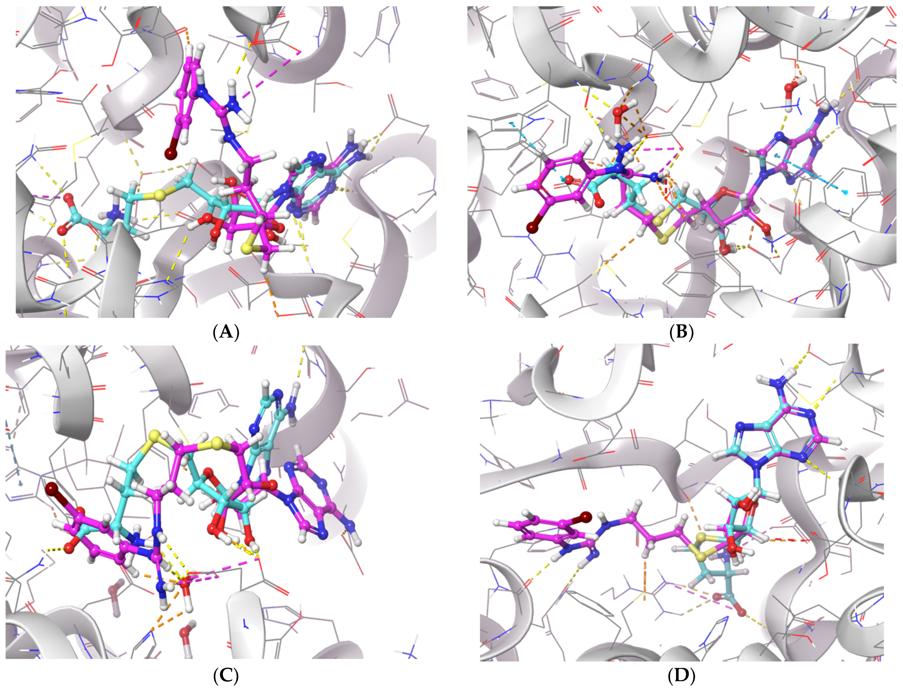 Biomolecules 11 00854 g007