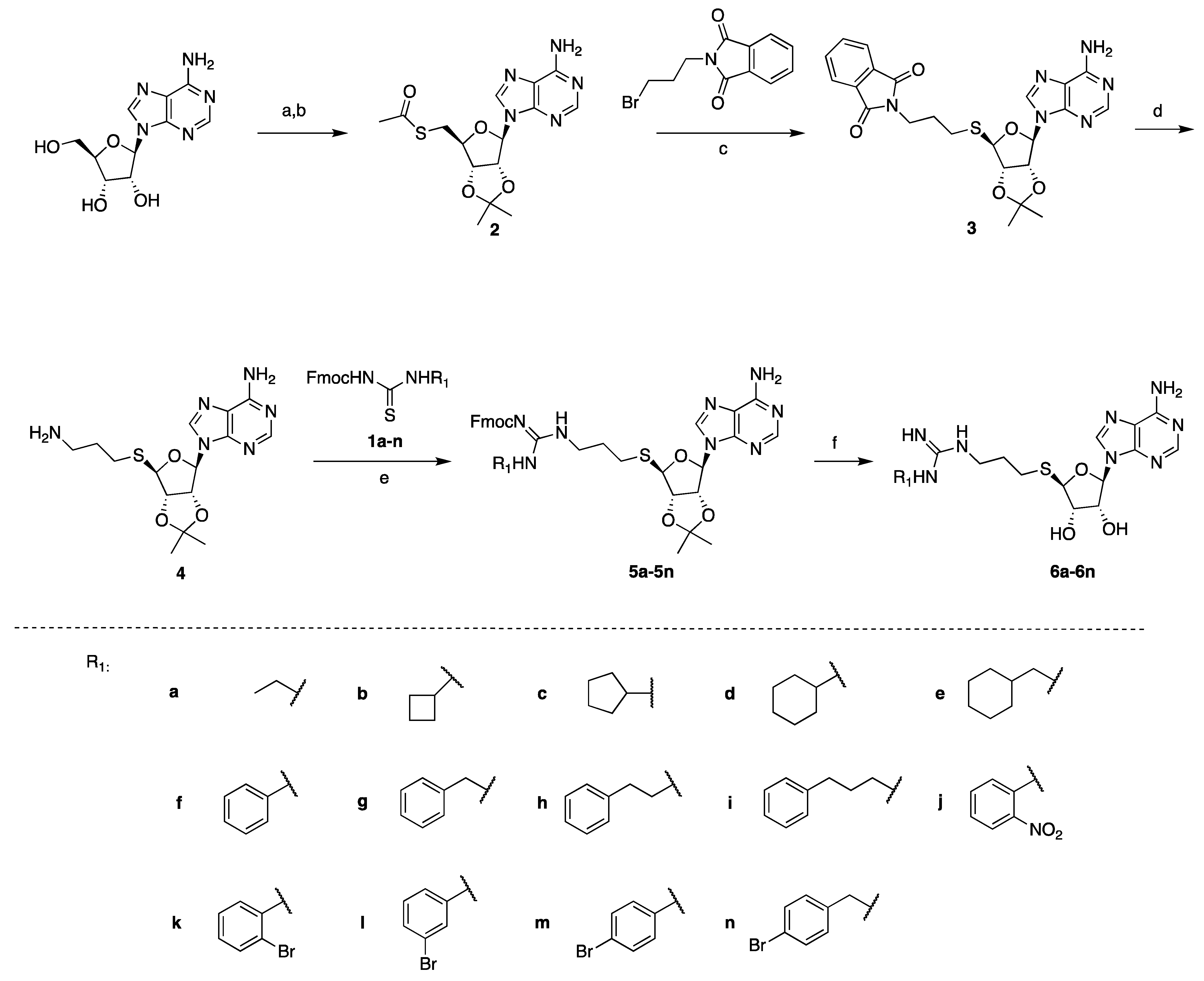 Biomolecules 11 00854 sch001