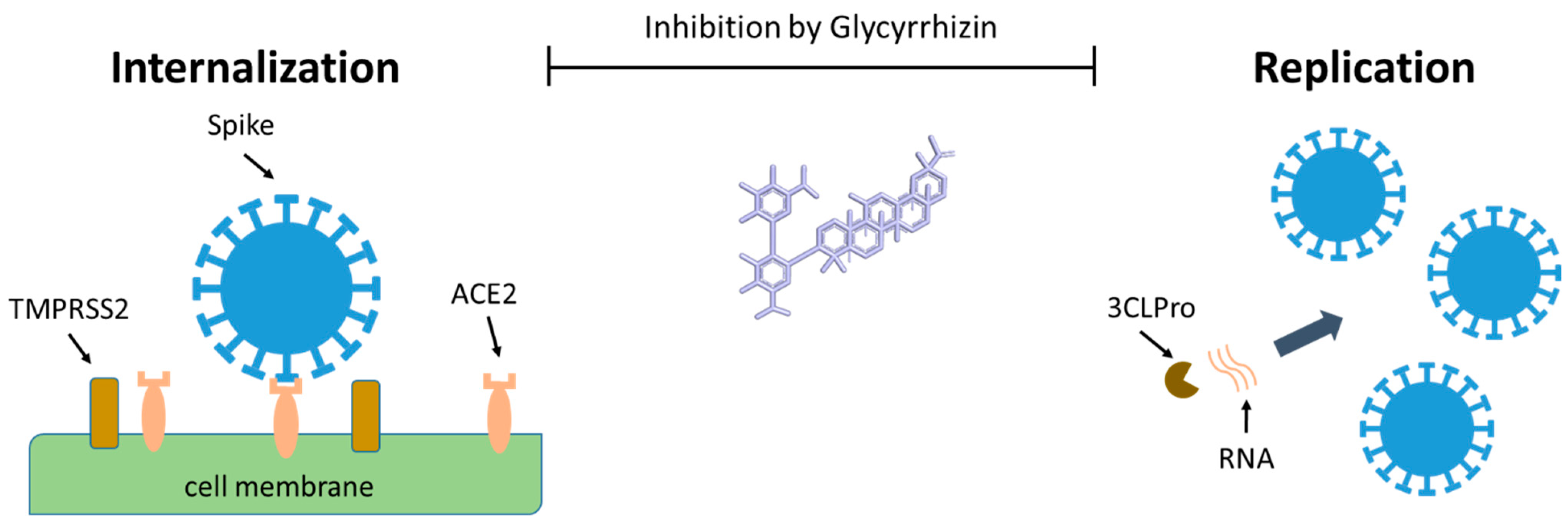 Biomolecules 11 00855 g003