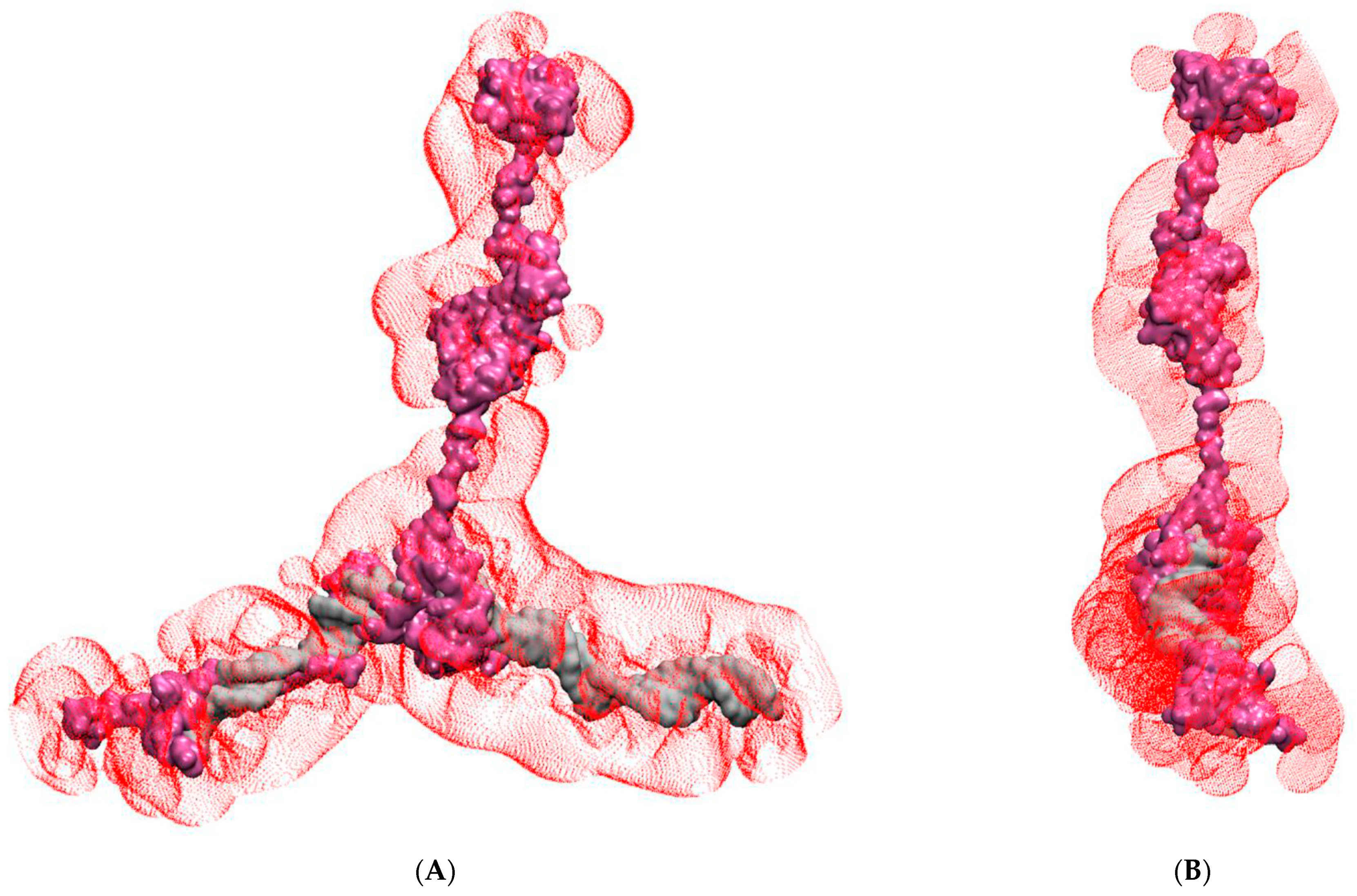 Biomolecules 11 00856 g006 Biomolecules 11 00856 g006