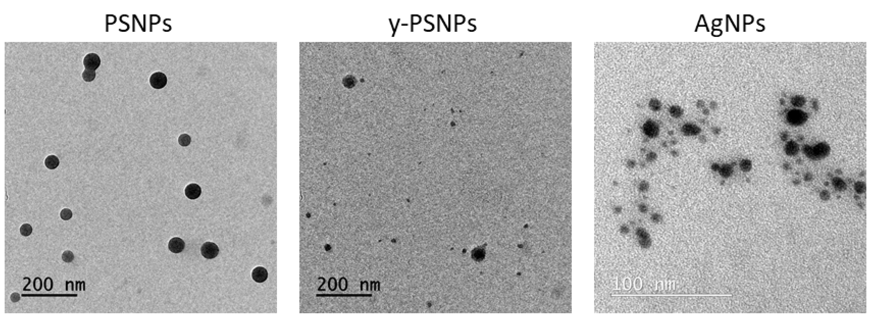 Biomolecules 11 00859 g001