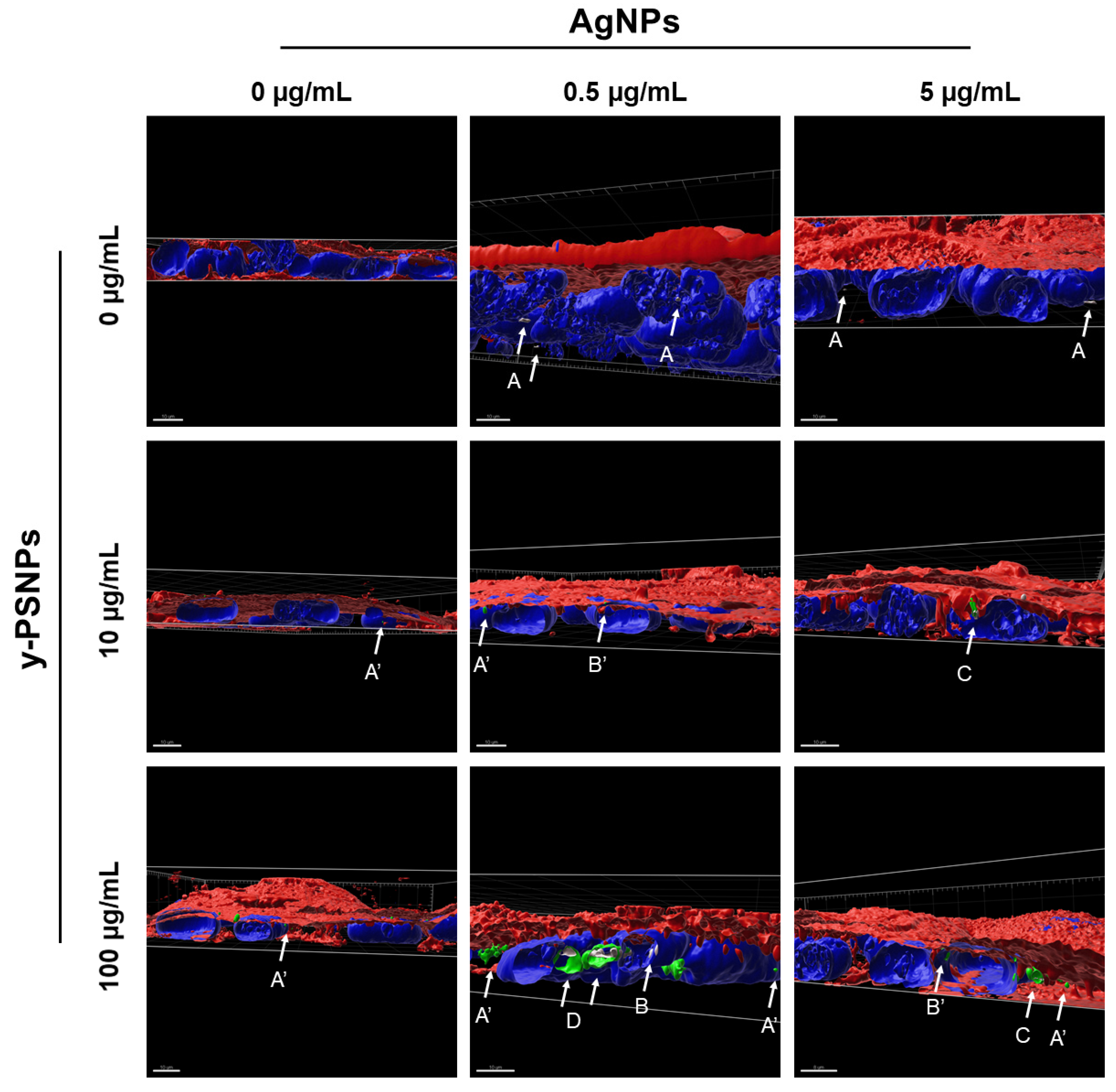Biomolecules 11 00859 g005