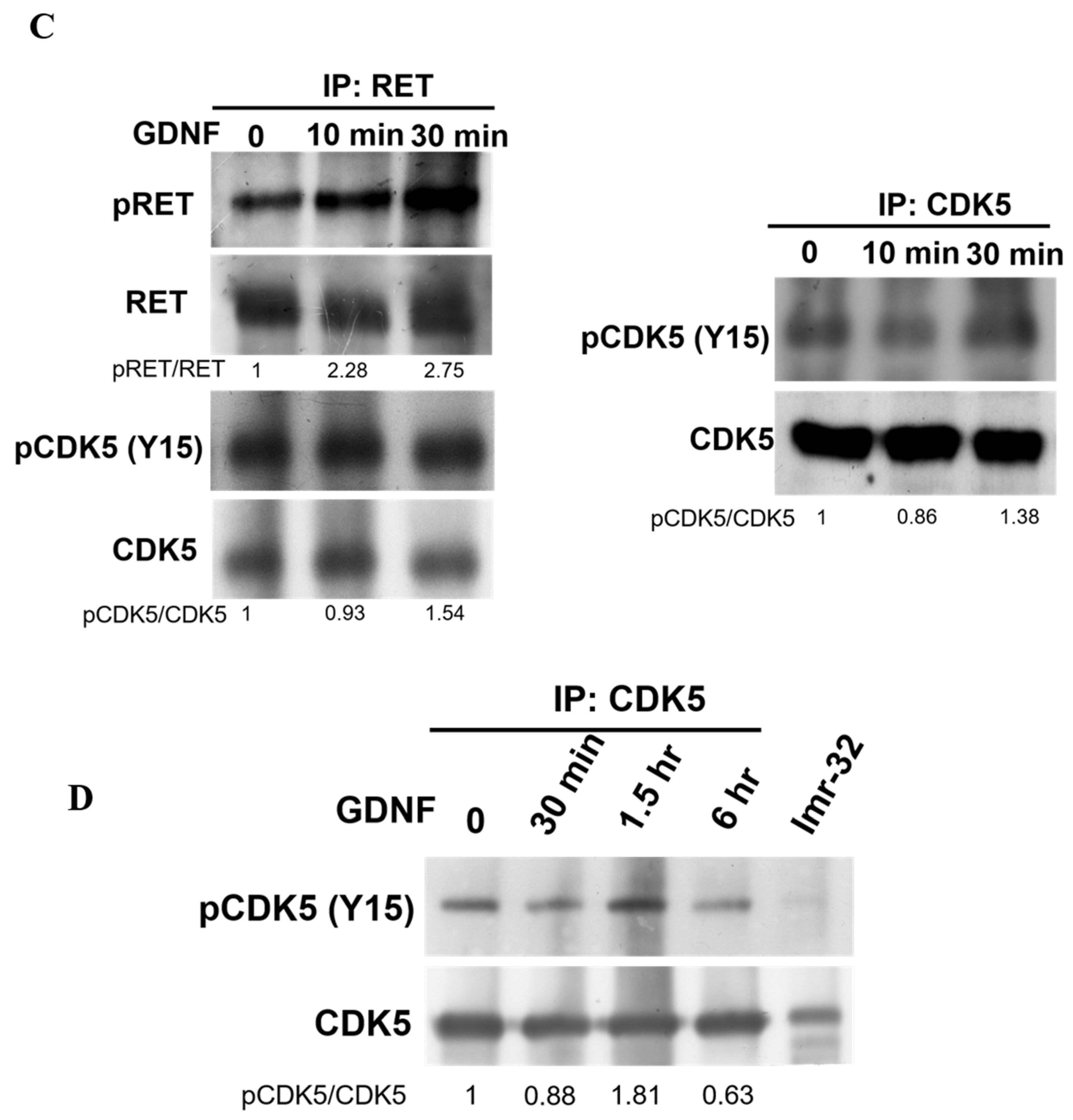 Biomolecules 11 00860 g002b Biomolecules 11 00860 g002b