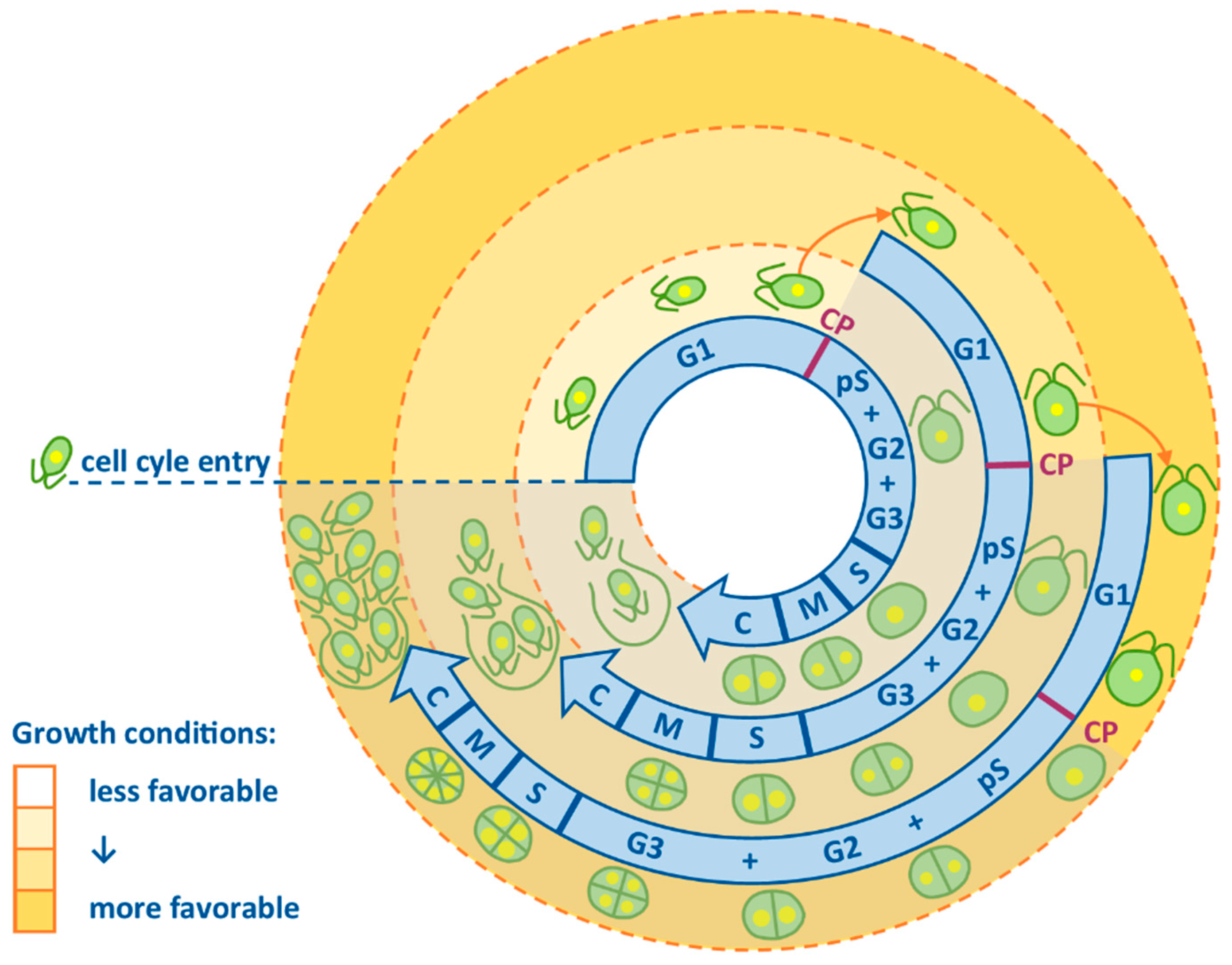 Biomolecules 11 00861 g001 Biomolecules 11 00861 g001